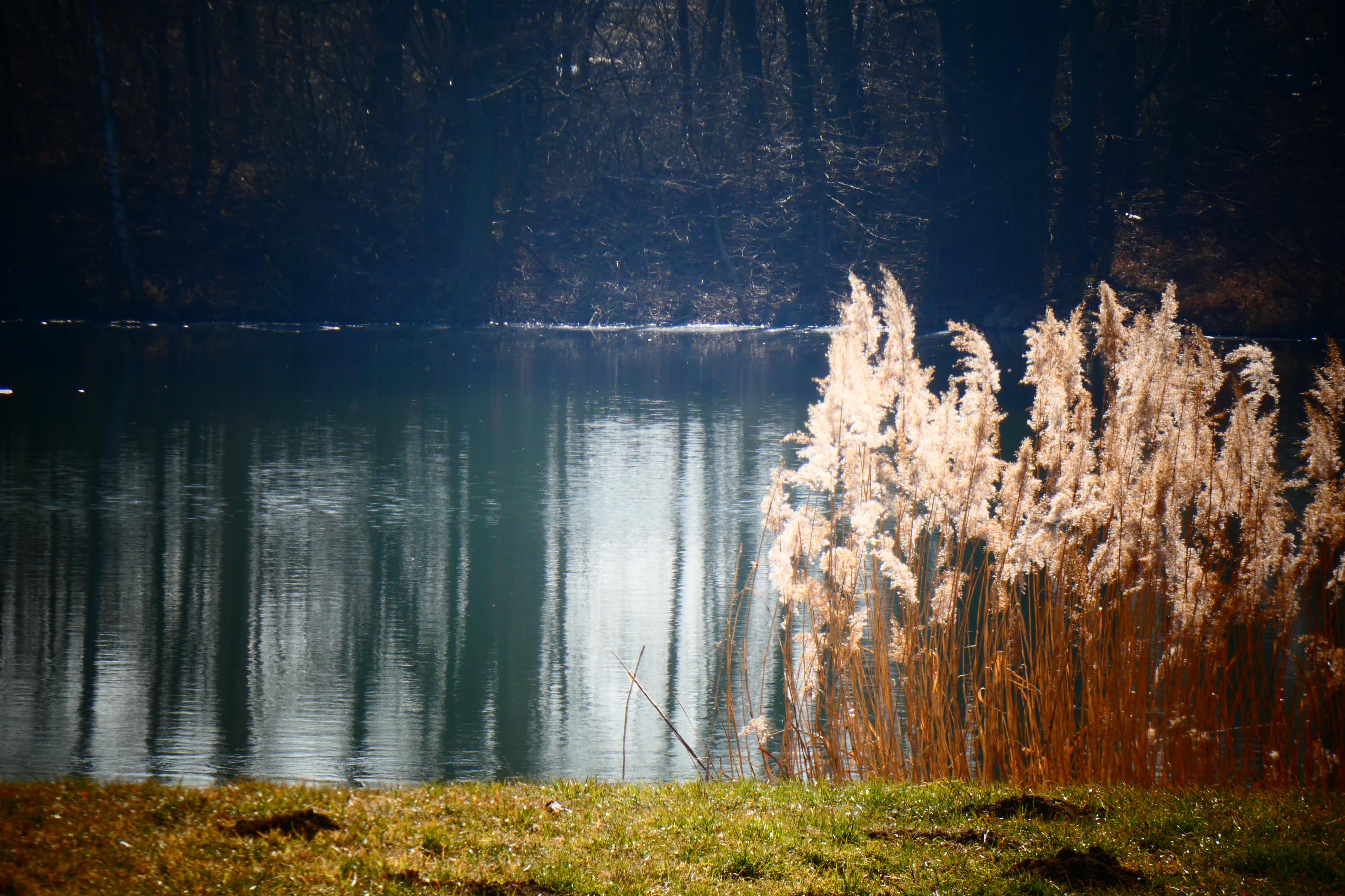 Půjčovna lodiček Dokořán foto 4