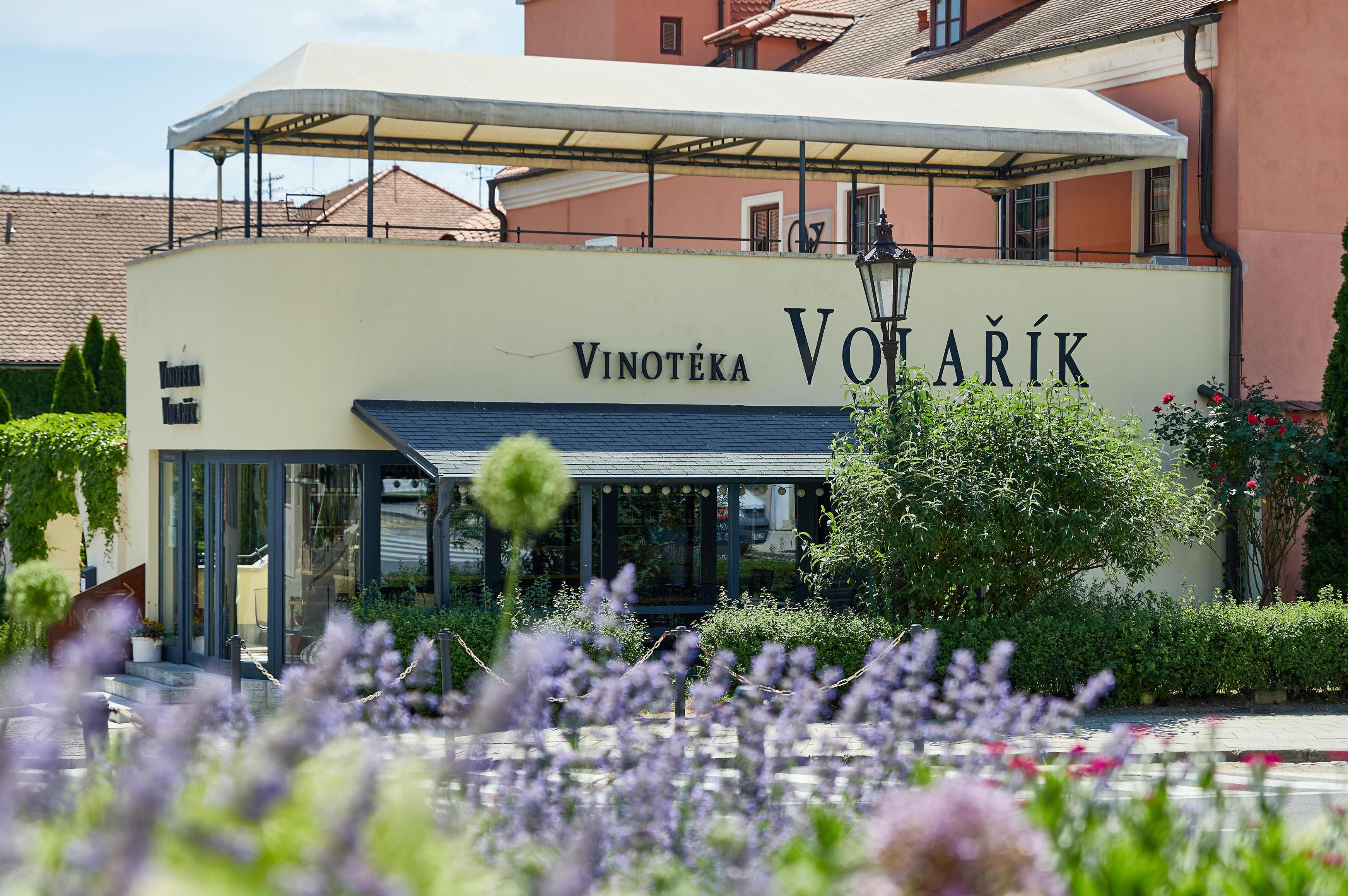 Vinotéka Volařík
