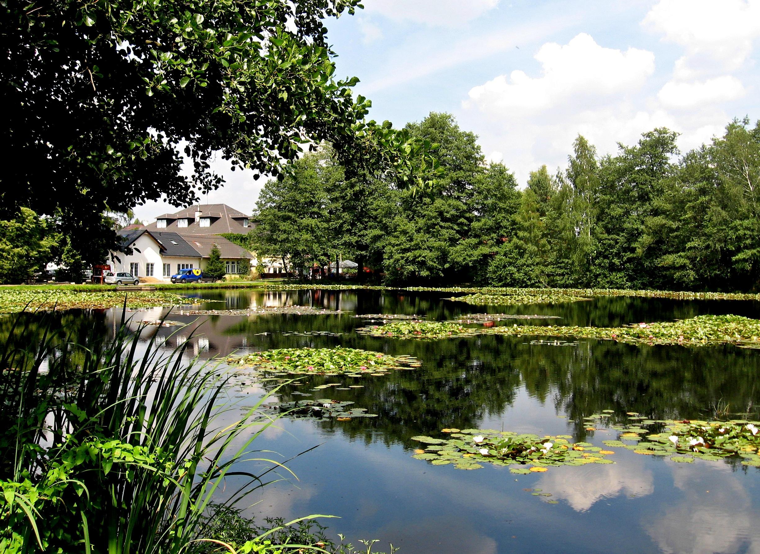 Restaurace Hotelu Leopold Račín foto 5