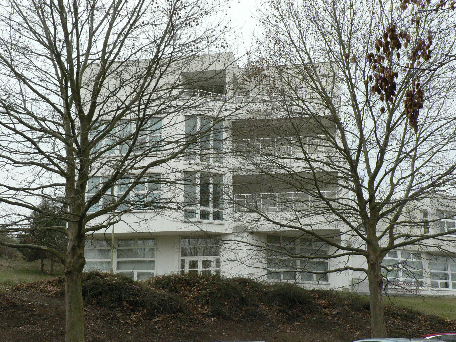 Gymnázium Matyáše Lercha Brno foto 5