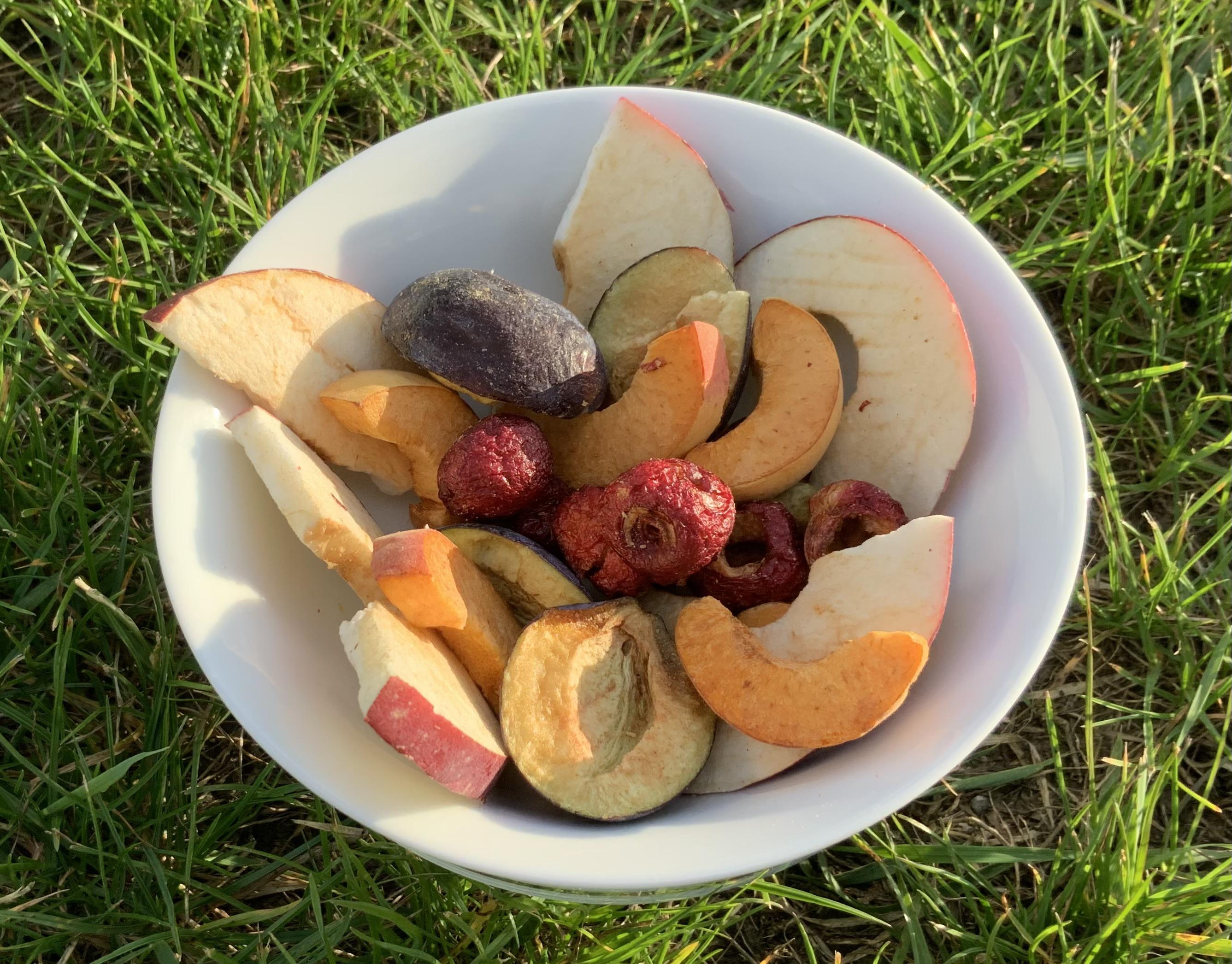 Farma Jasné nebe foto 5