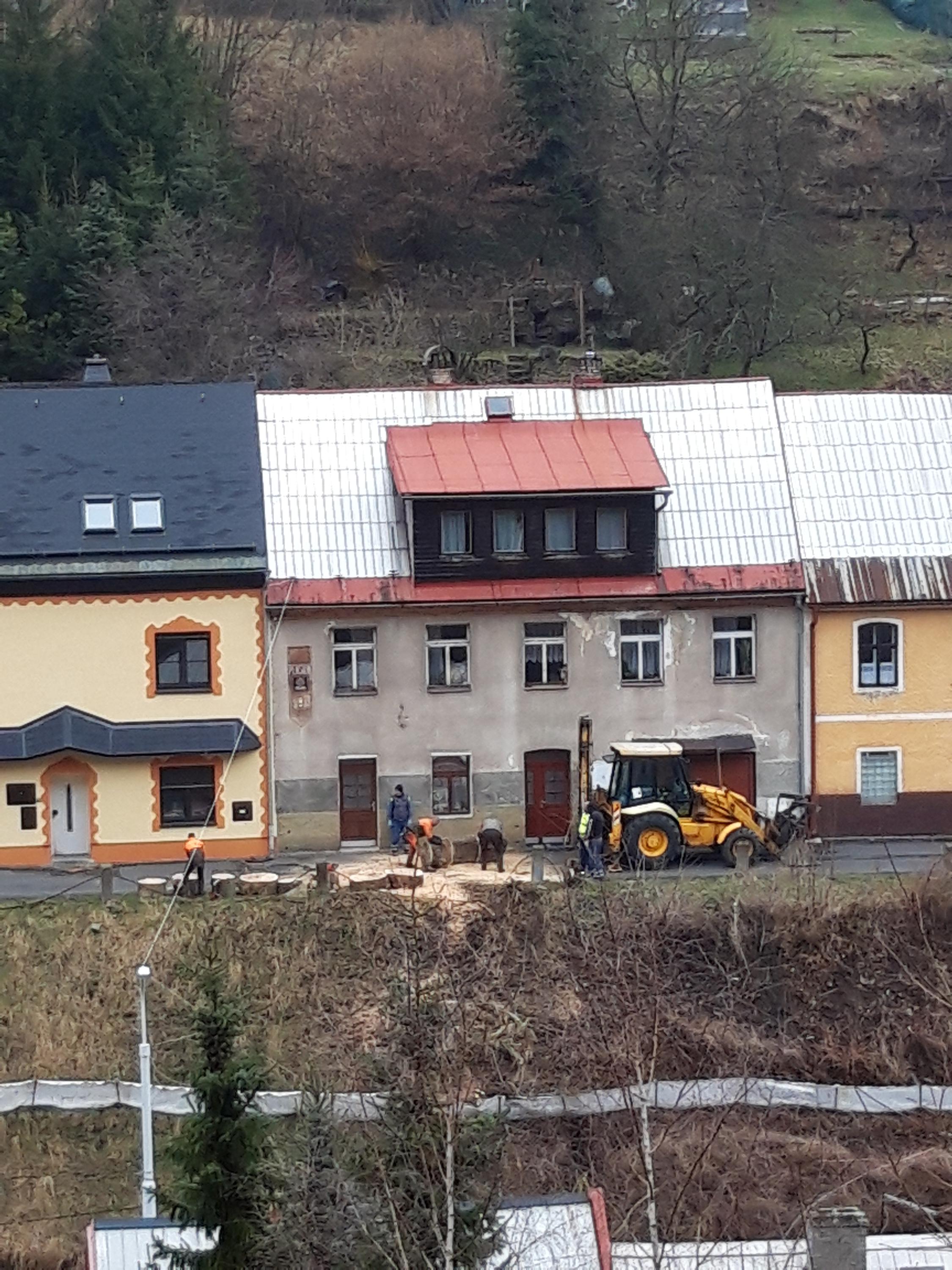 Prořezávky a rizikové kácení stromů - Martin Kostka foto 3