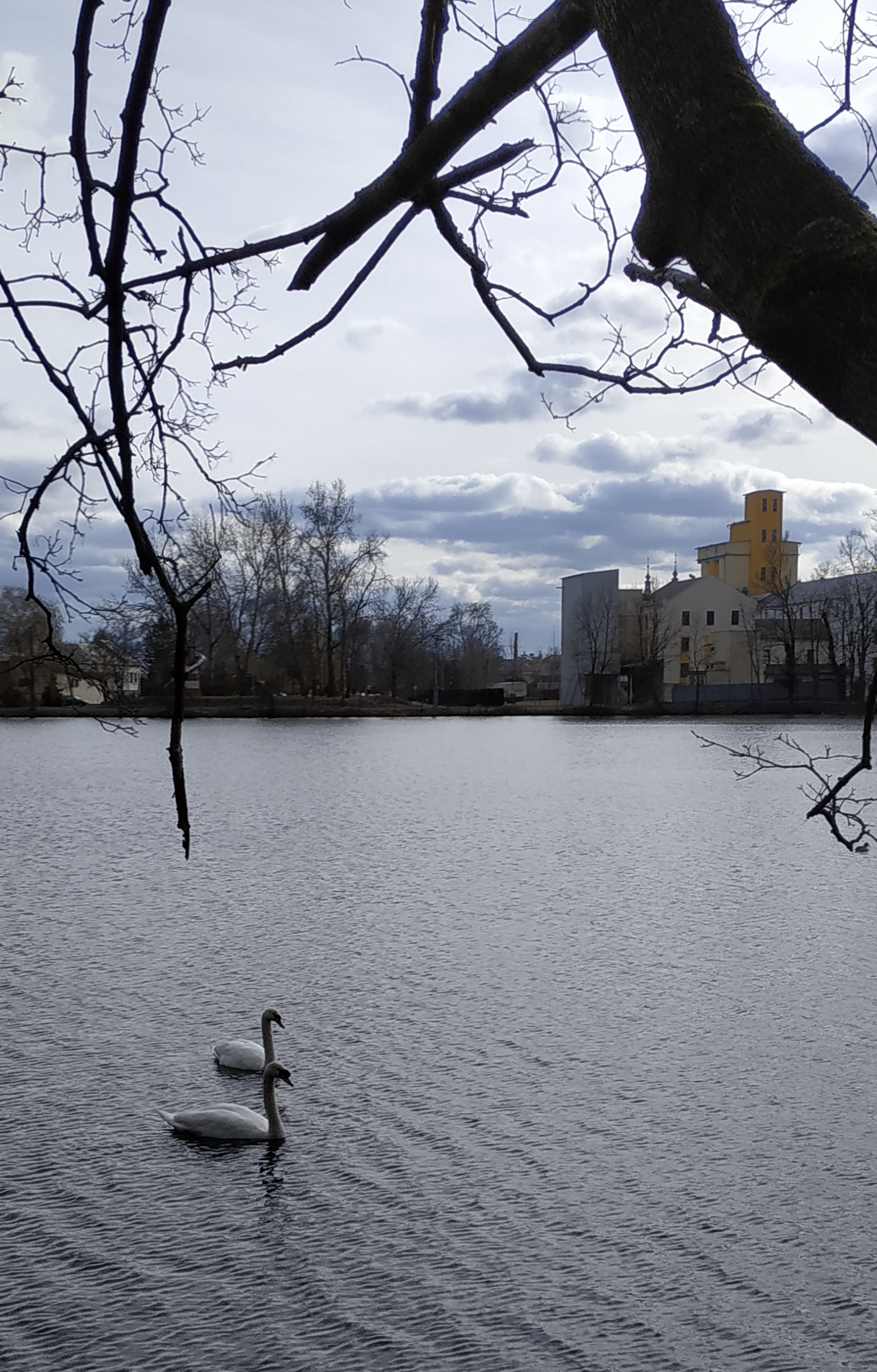 Mlýn Kojetín, spol. s r.o. foto 2