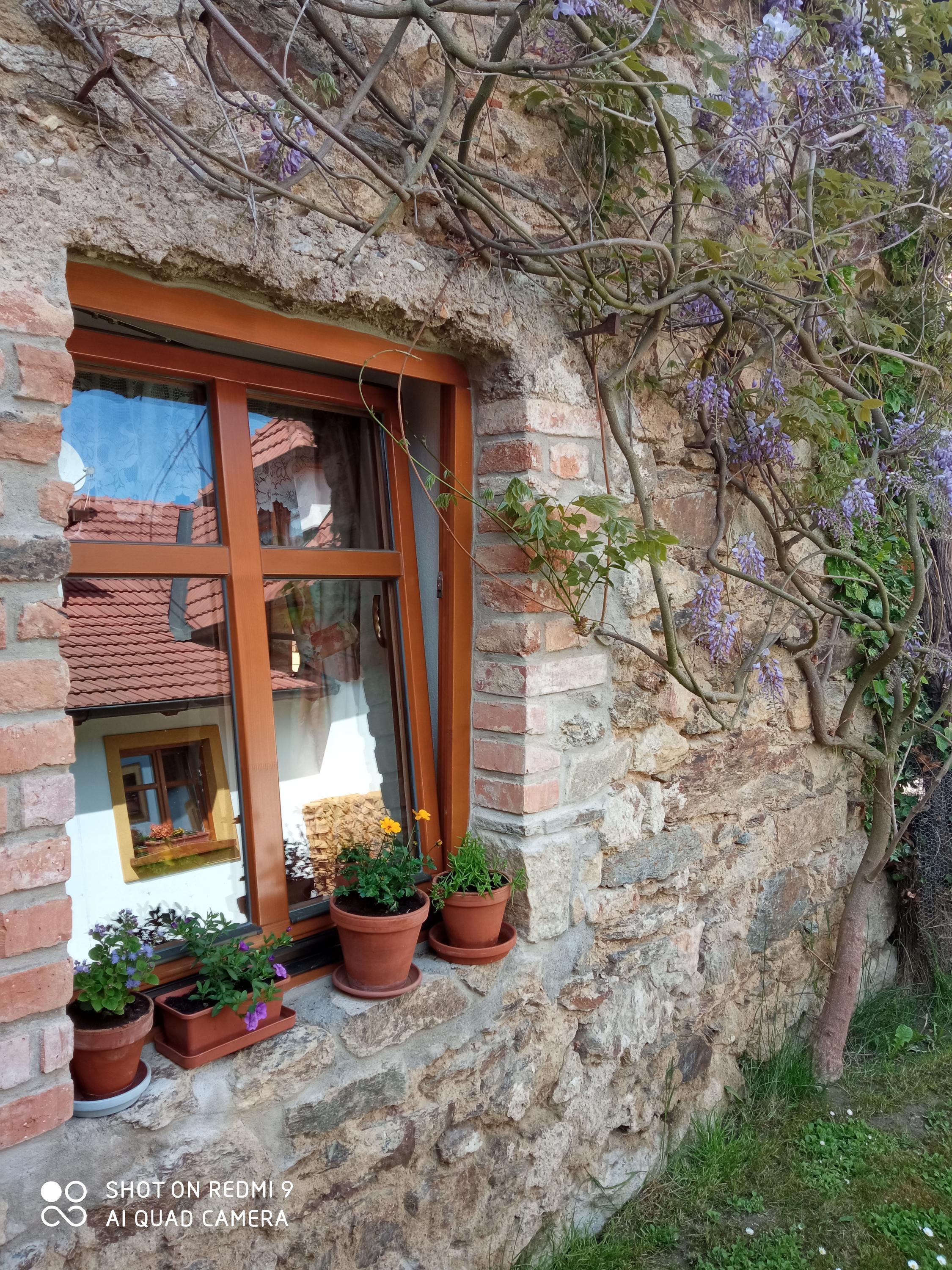 Pension Fanlor foto 5