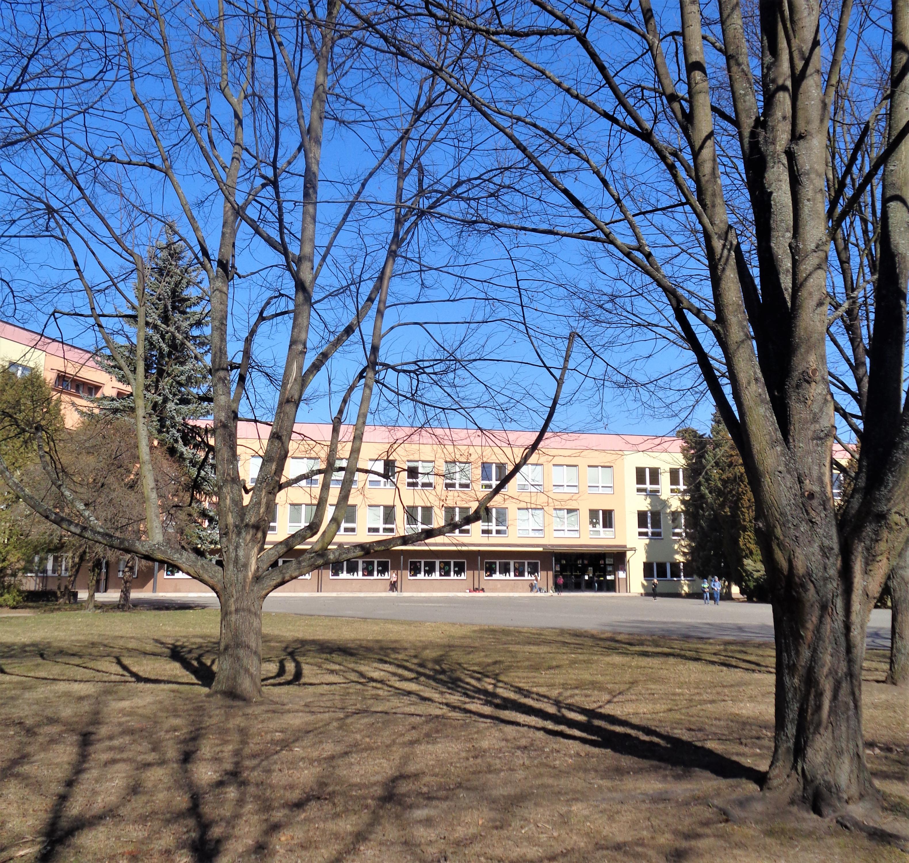 Základní škola Šumperk, Šumavská foto 3