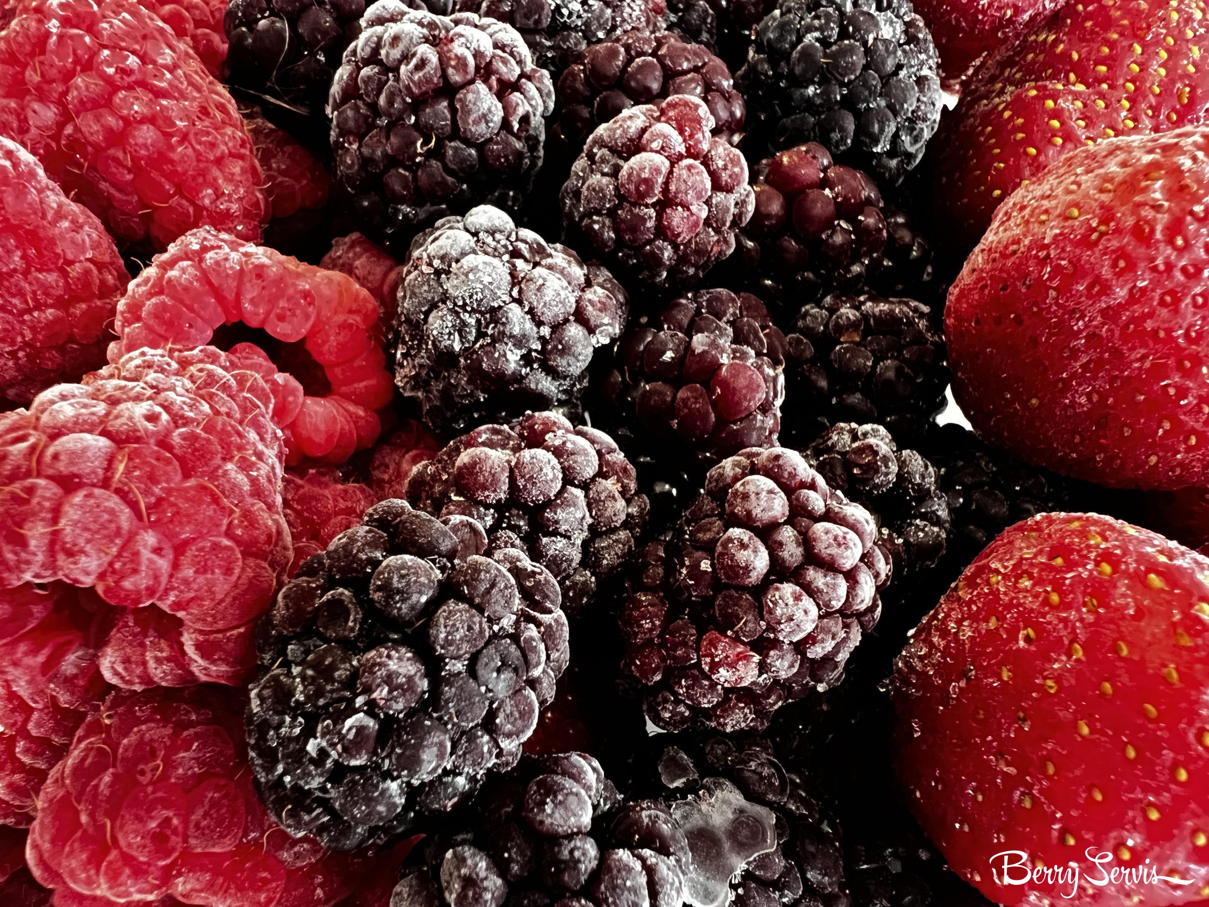 Berry servis foto 4