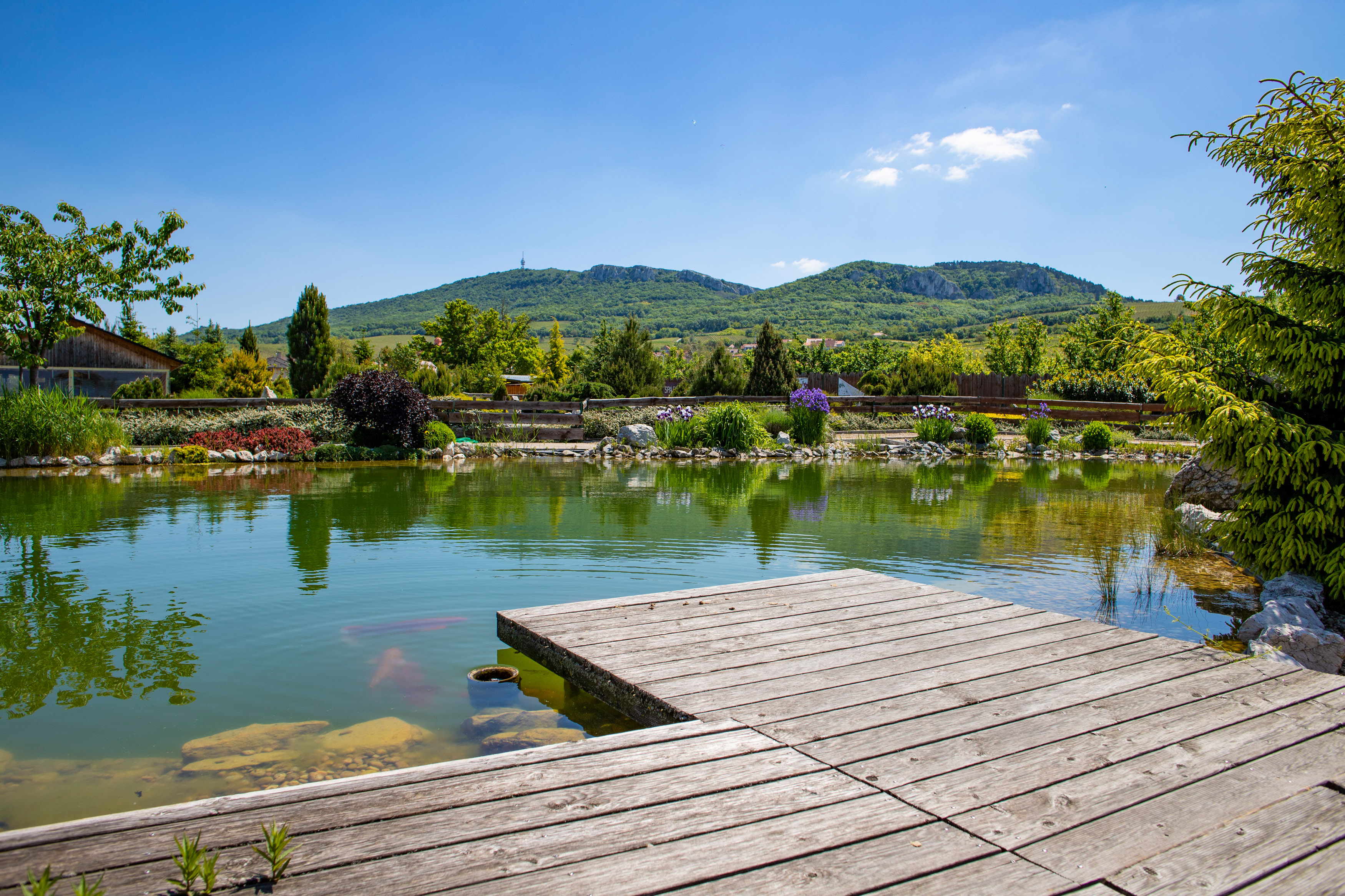 Amenity Penzion Horní Věstonice foto 2