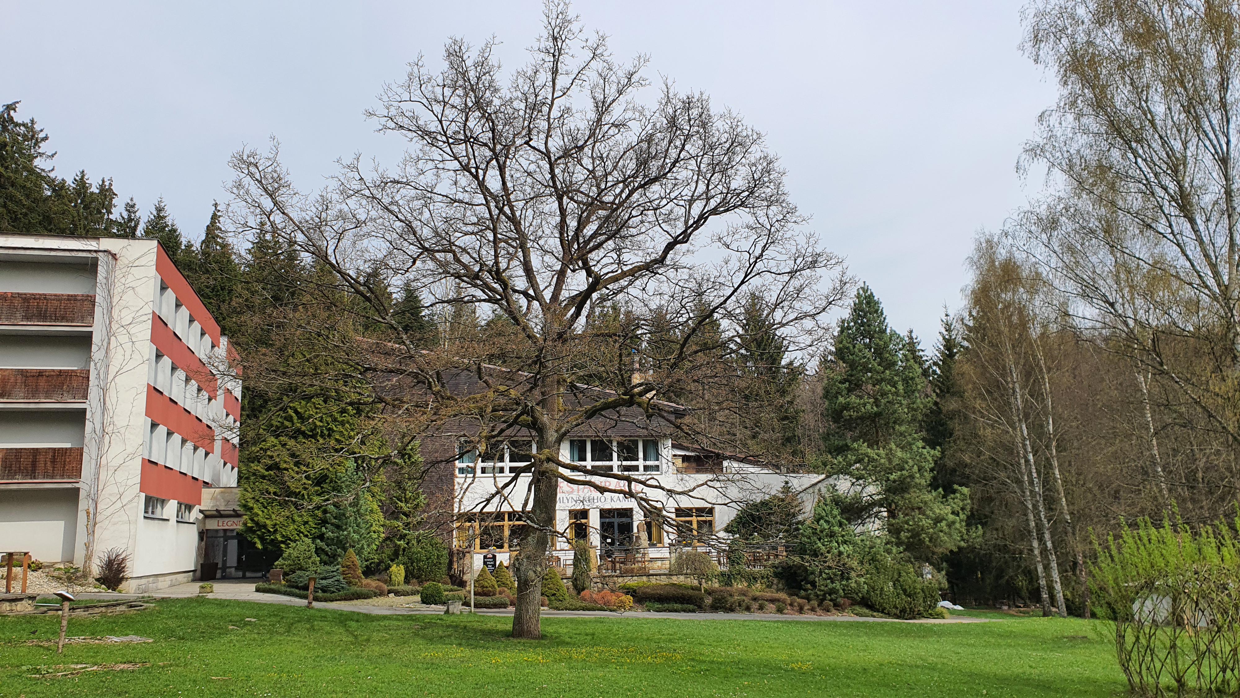 Resort Lesní Lázně Zvánovice foto 6