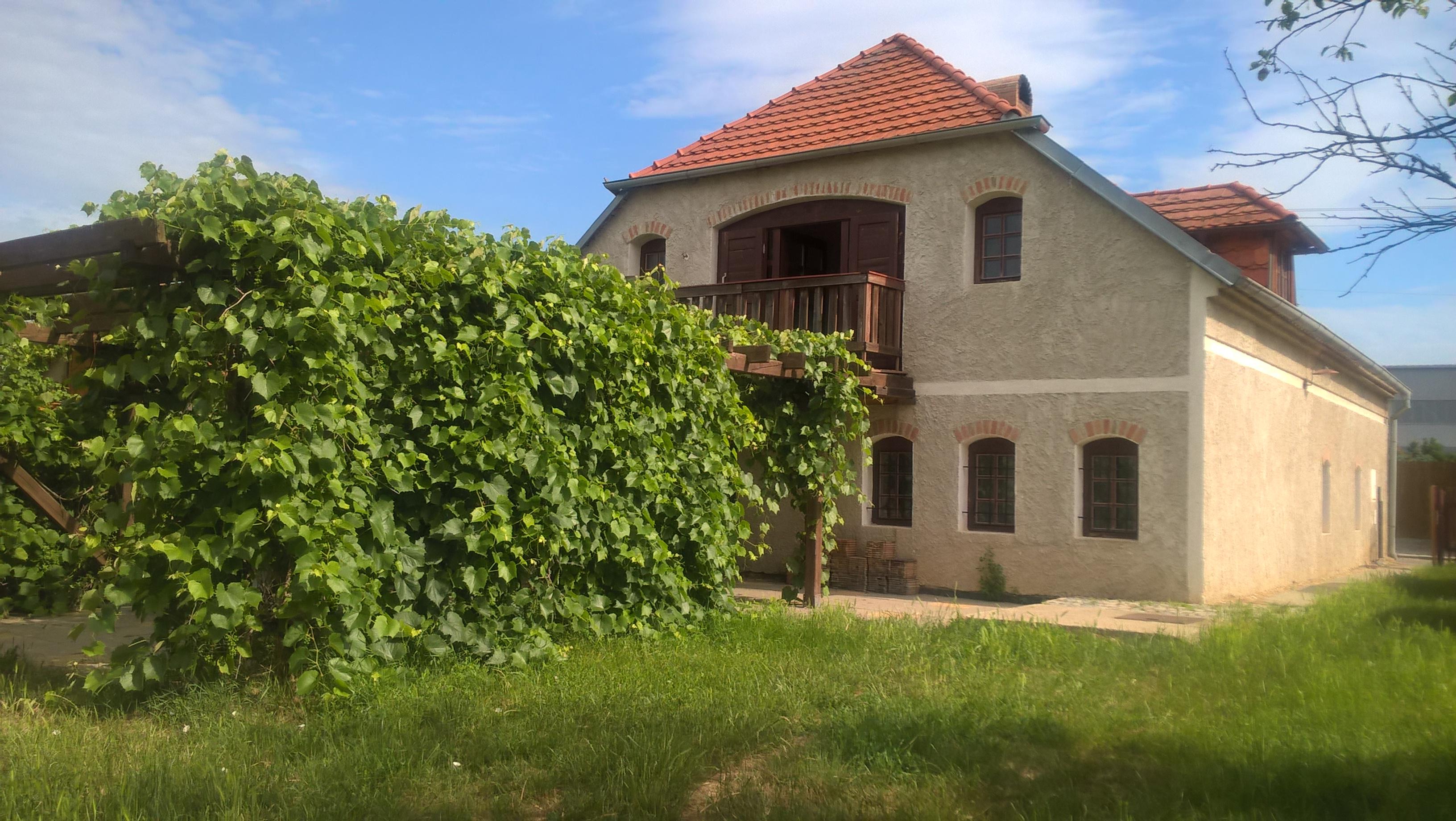 Vinný sklep U hafana