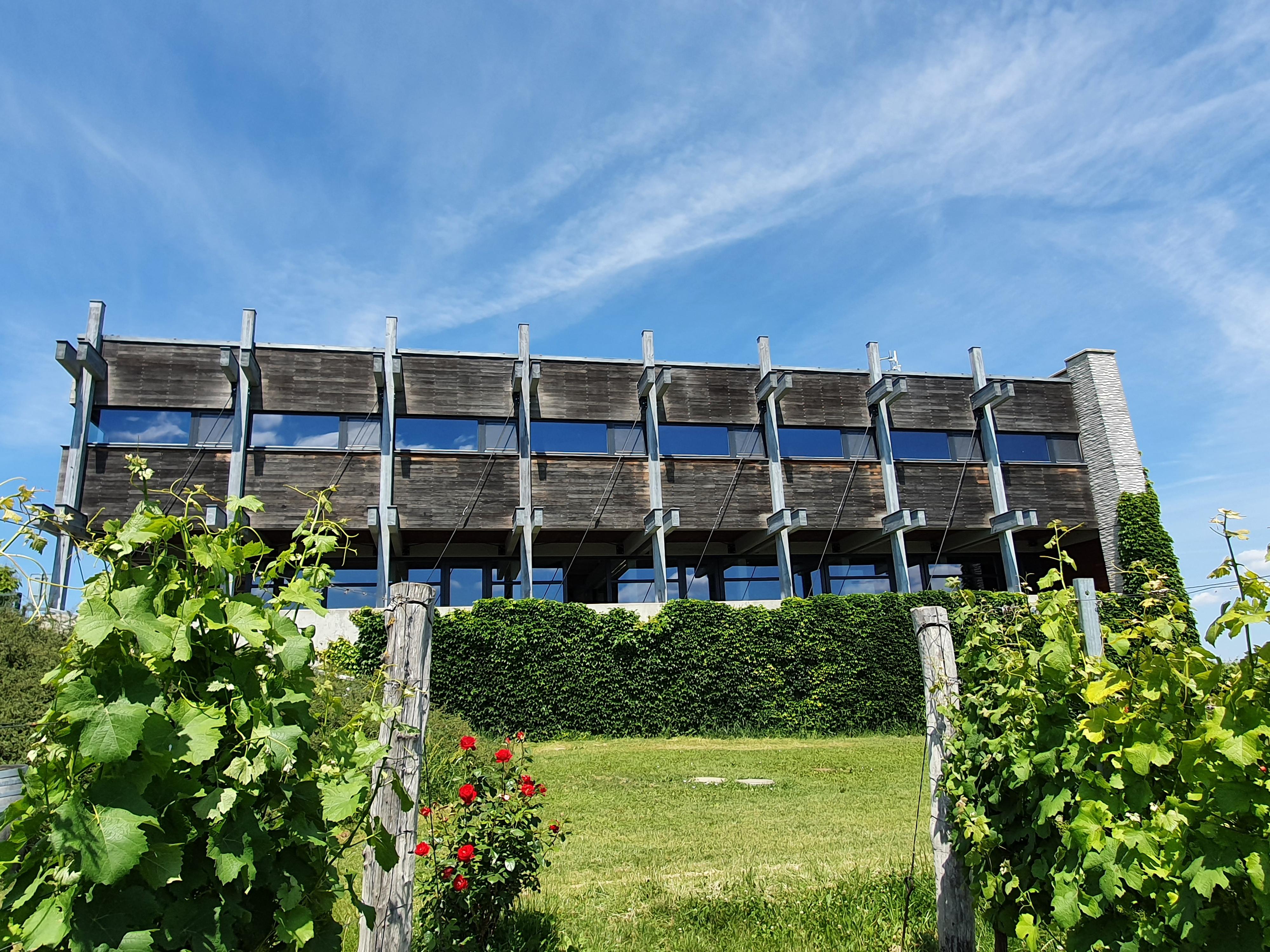 Gotberg.cz foto 6