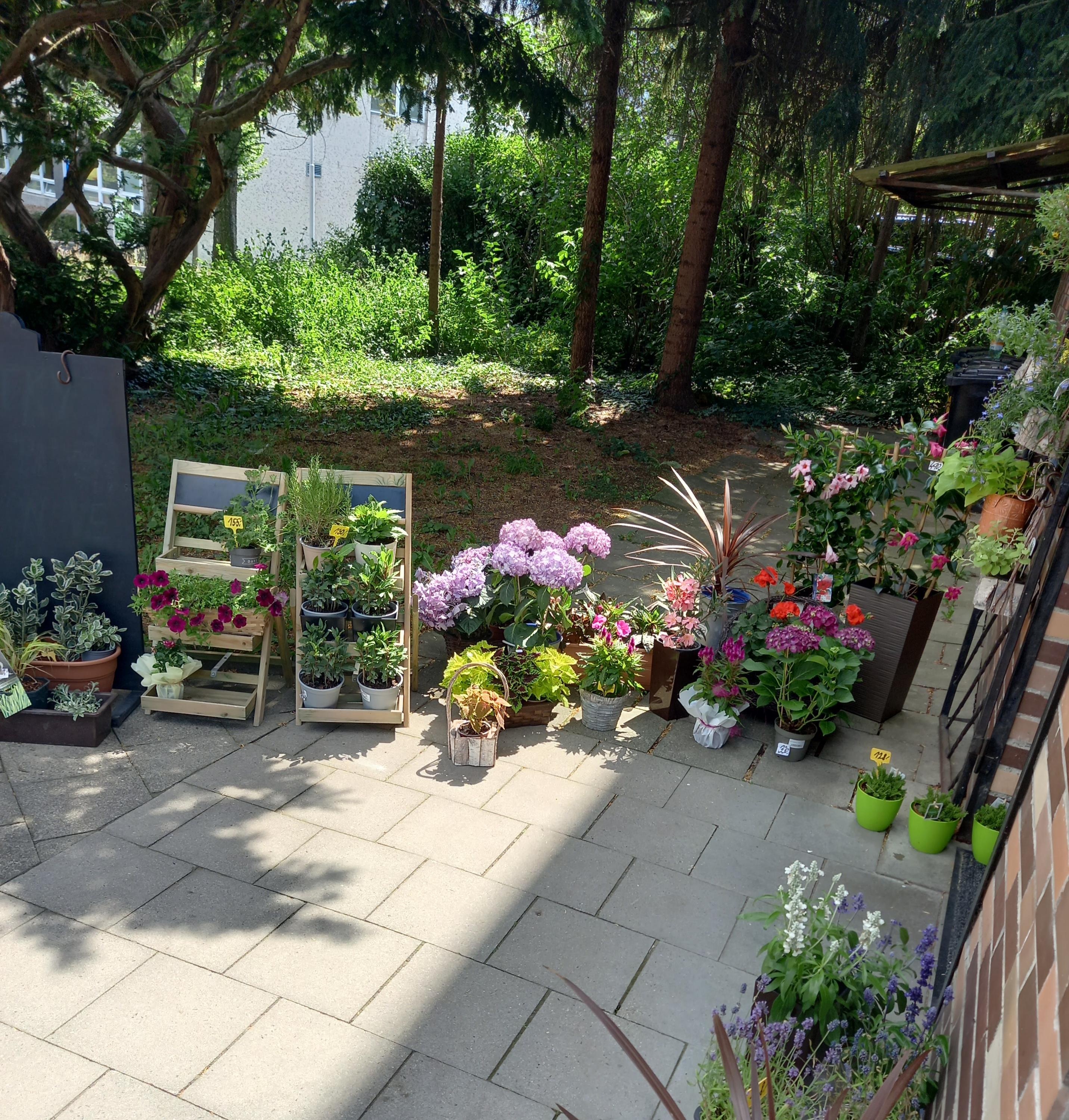 Květinářství Spirit Jitka Eichlerová foto 3