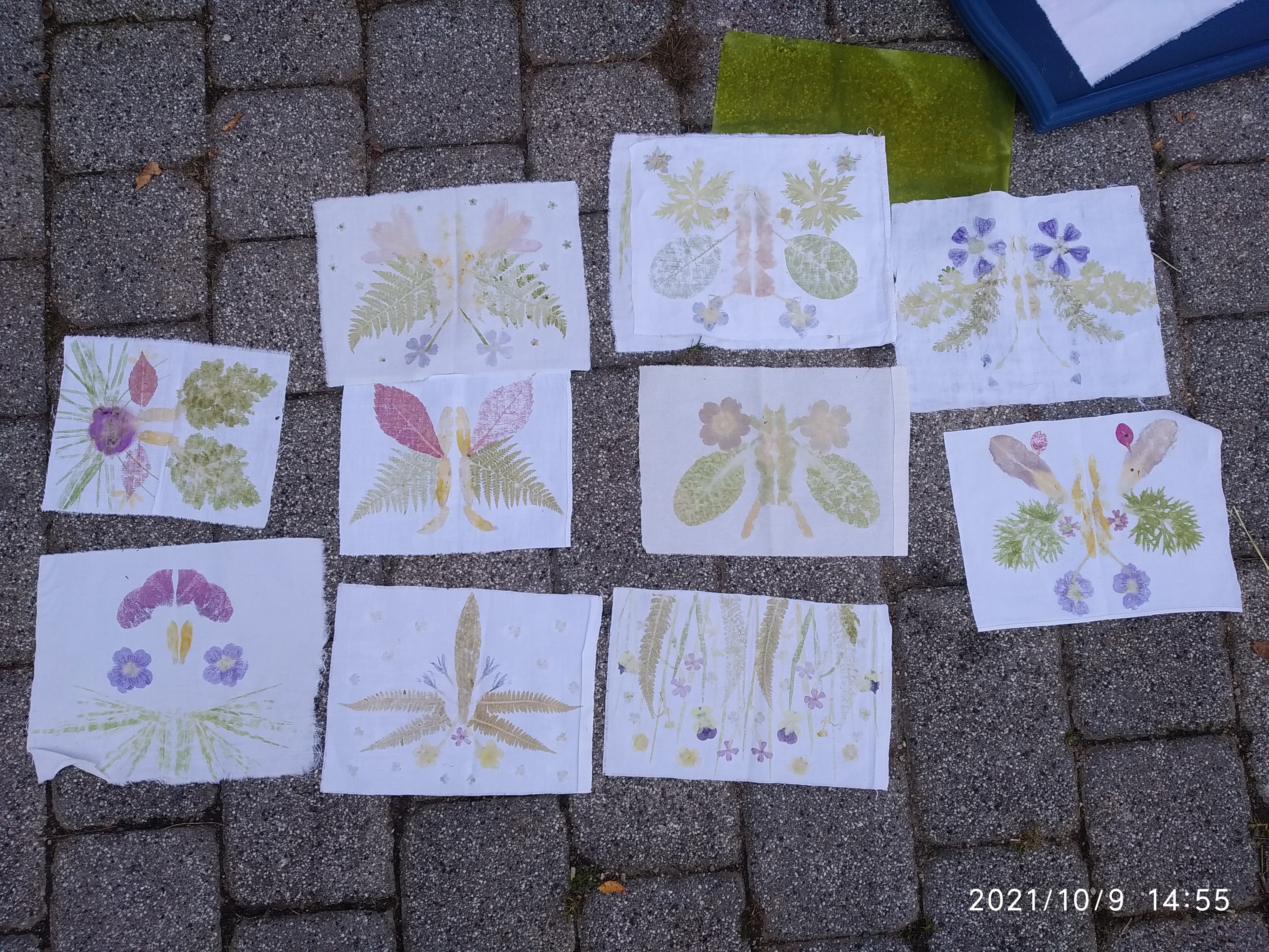 Ekocentrum Oldřichov v Hájích foto 4