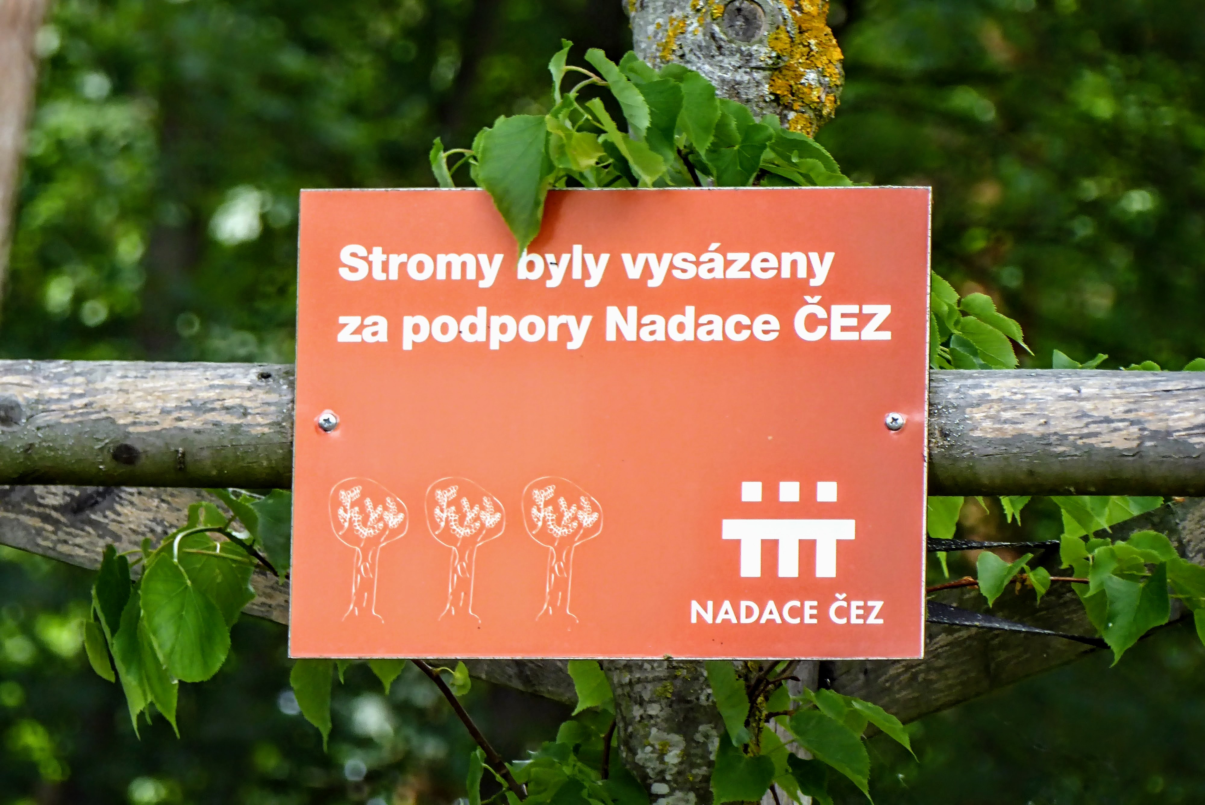 Občerstvení Drahovák foto 4