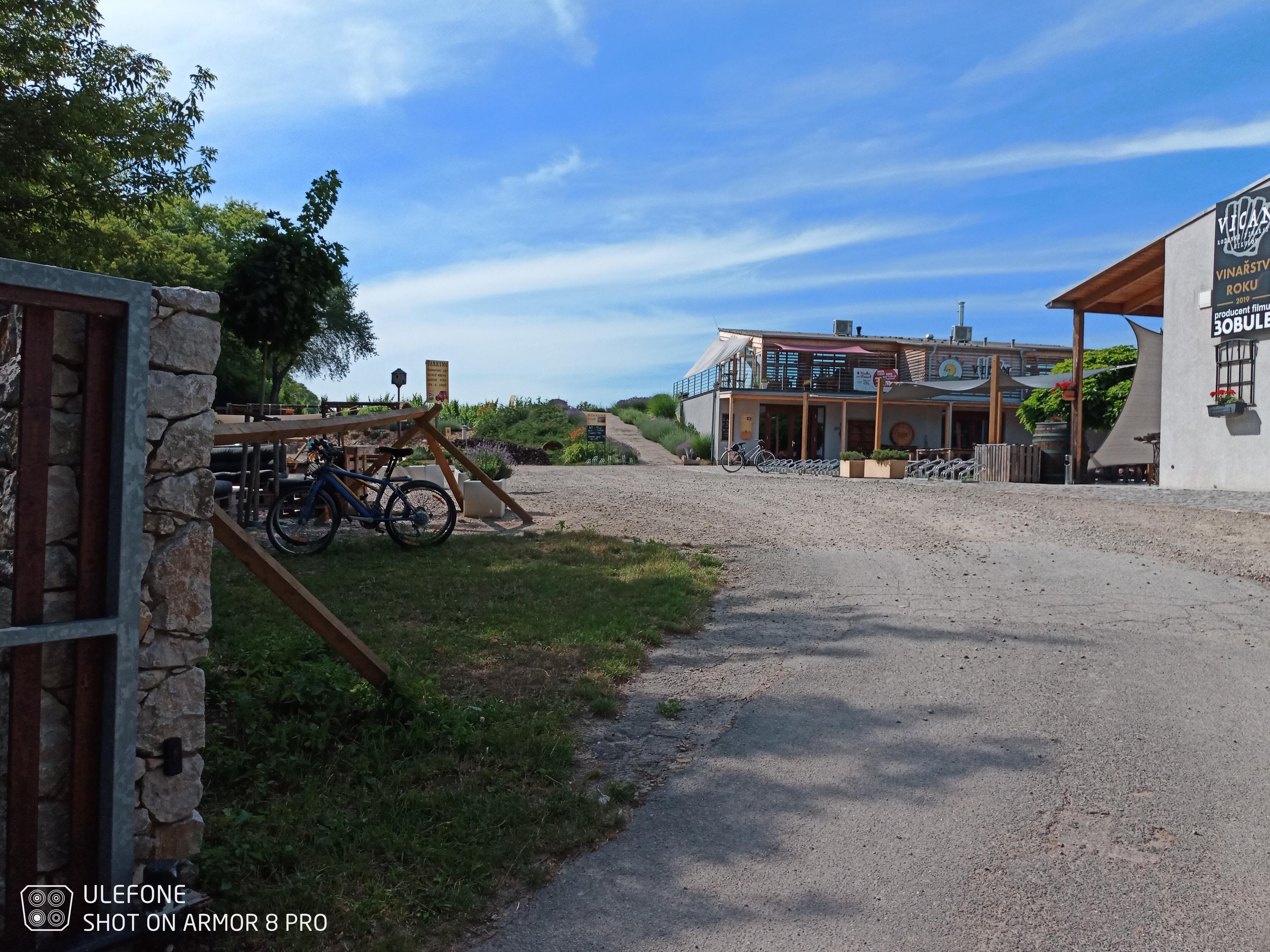 Rodinné vinařství VICAN foto 6