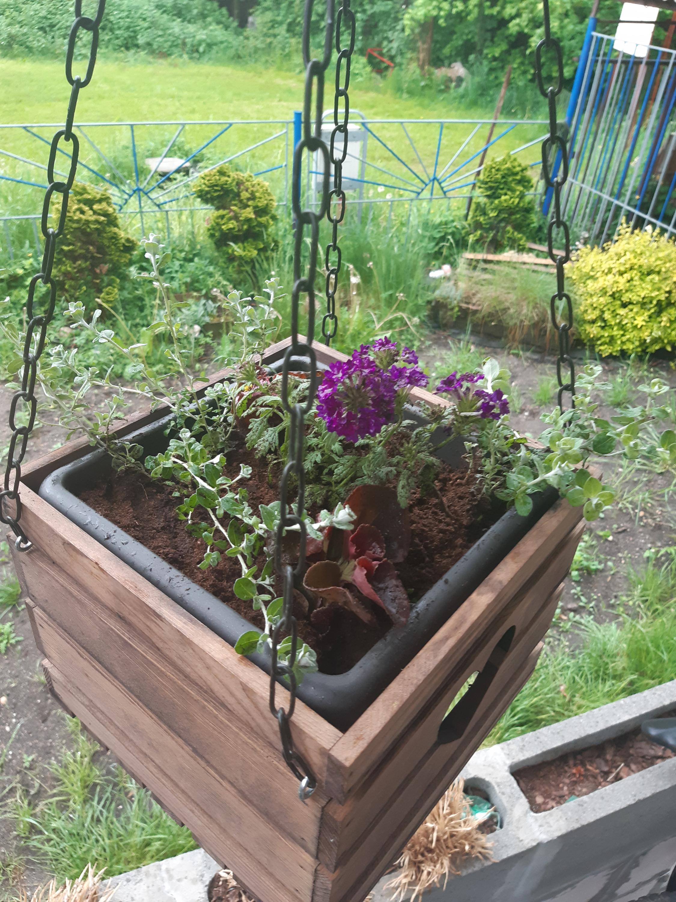 JETEL květinářství foto 3