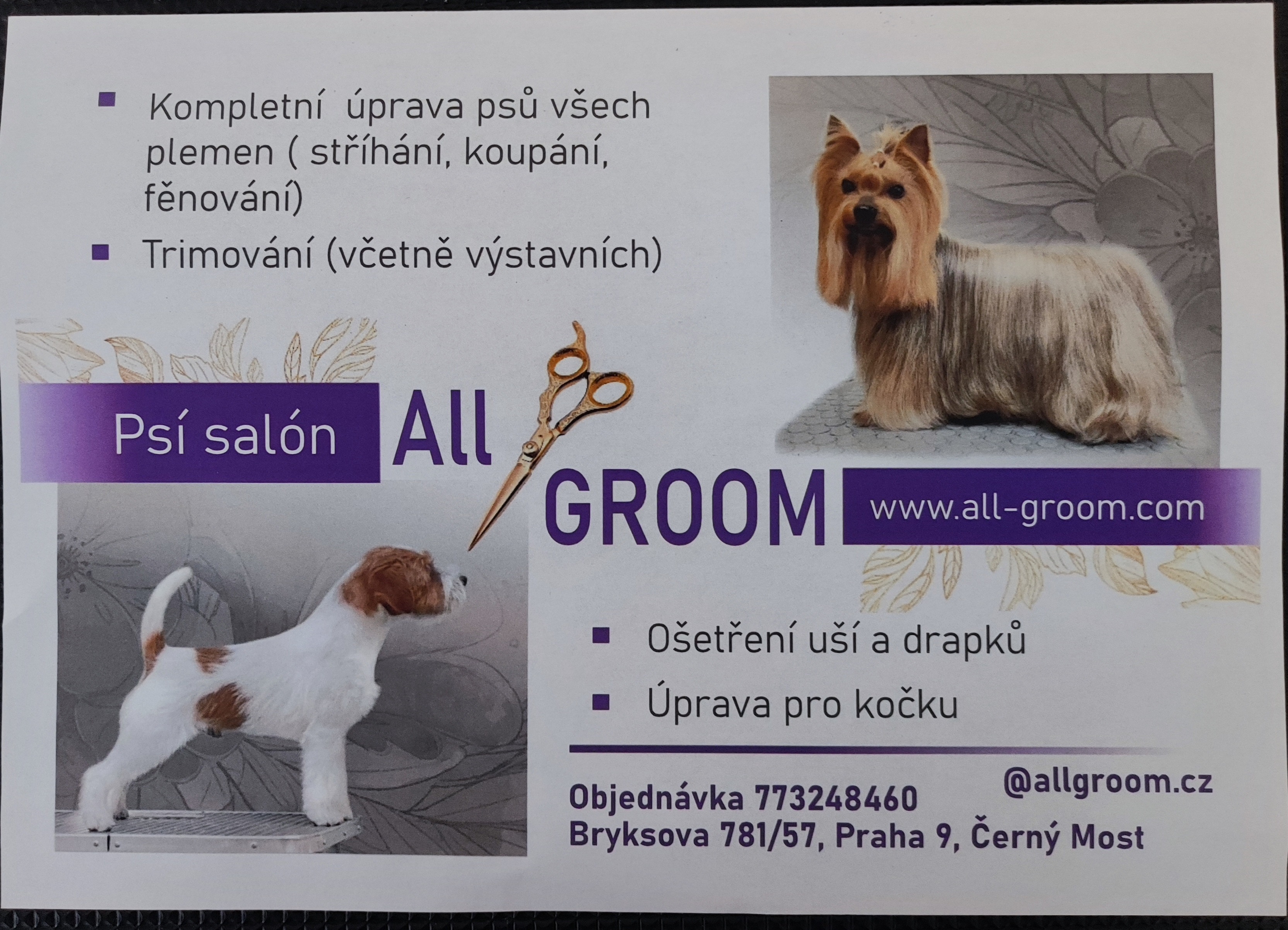 Psí salon Allgroom foto 4