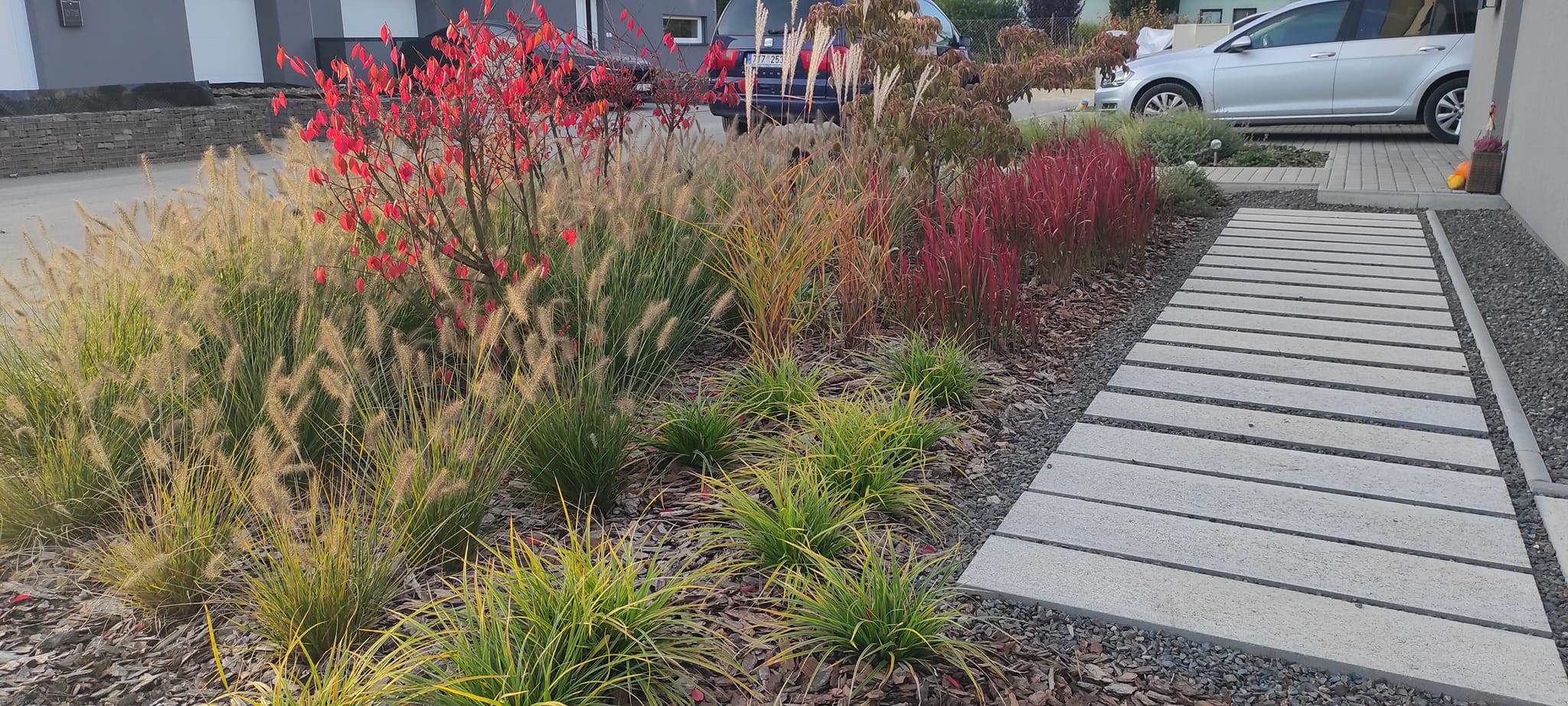 Gardenex foto 4