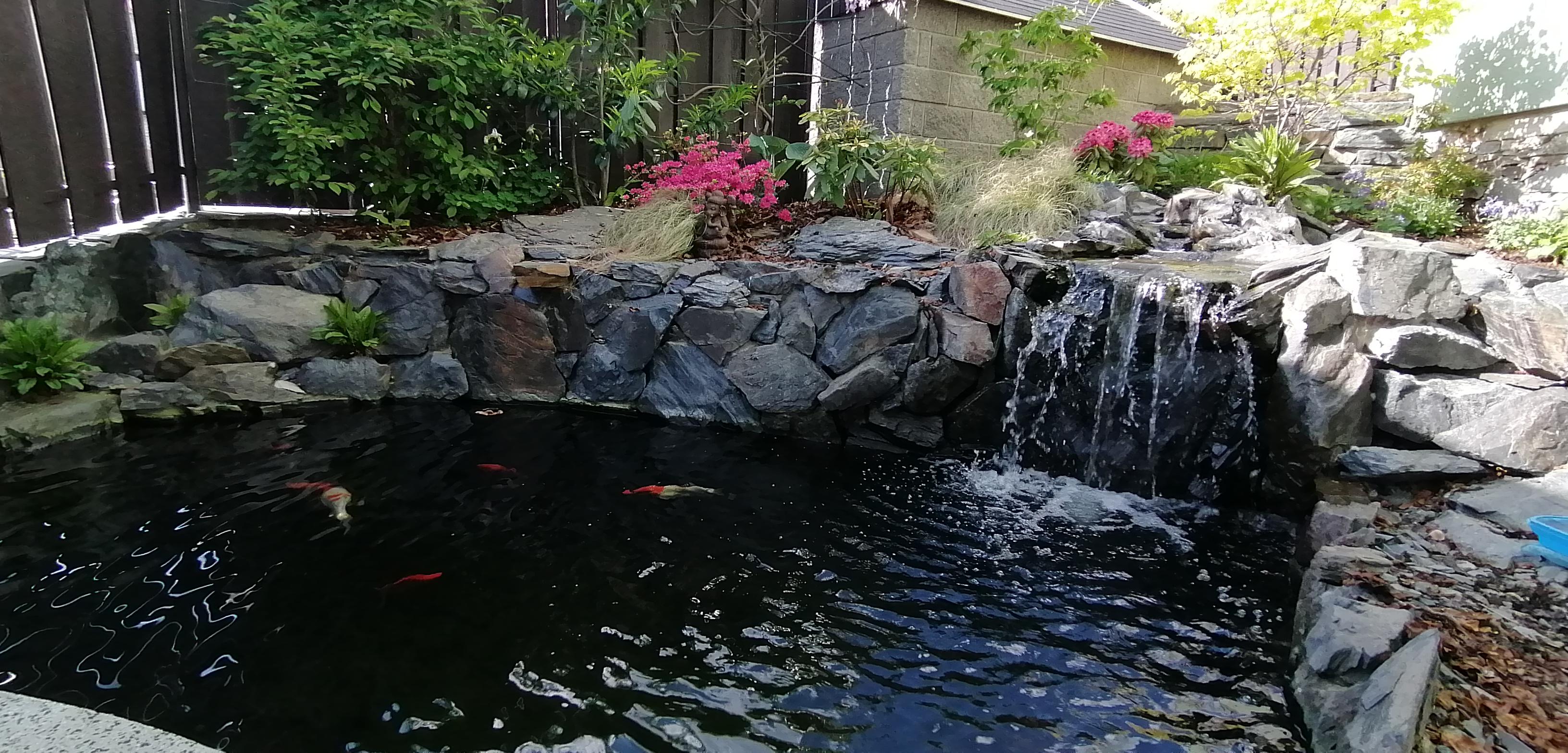 Restaurant u Macků foto 5