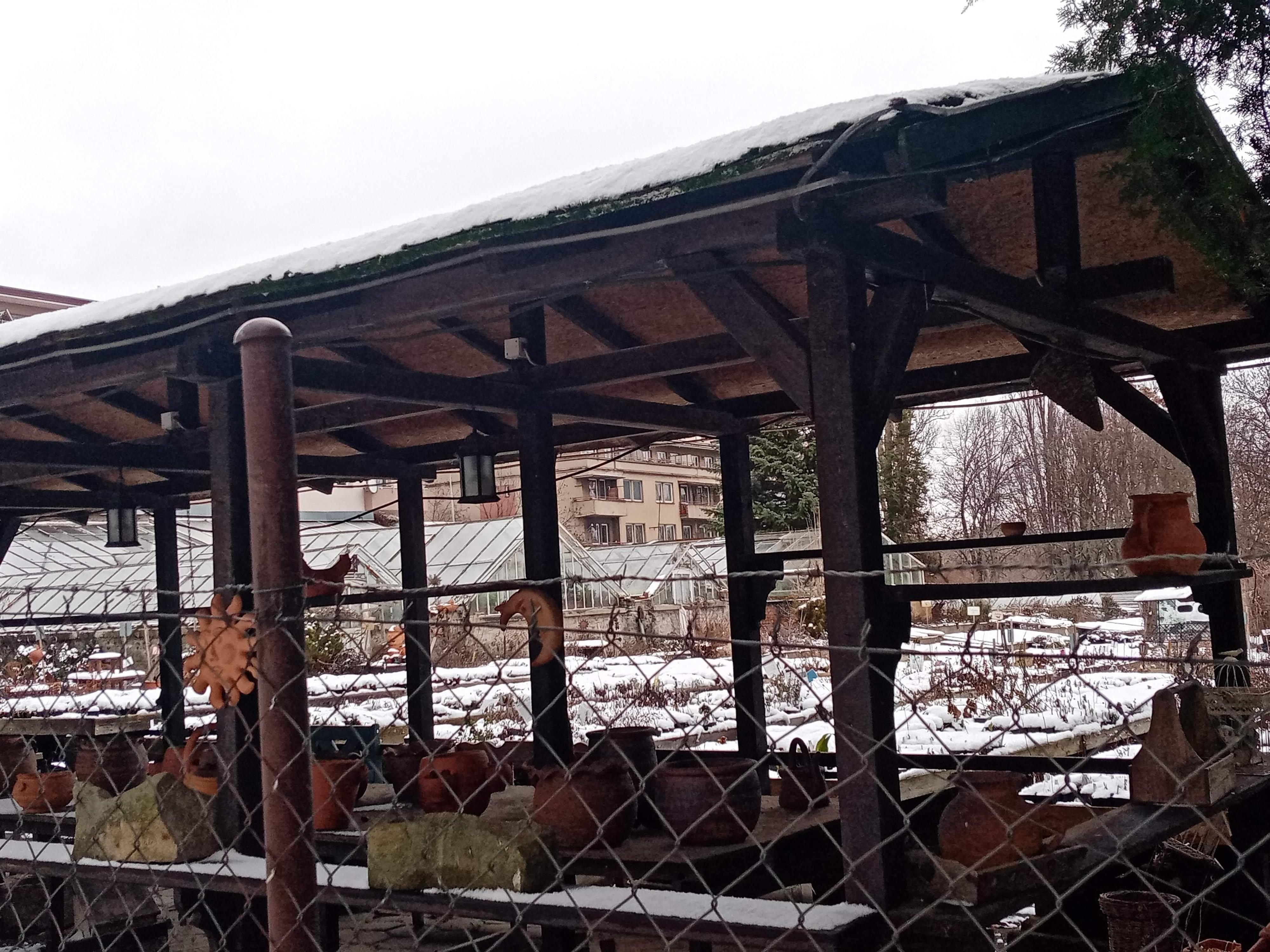 Zahradnictví Krulichovi foto 4