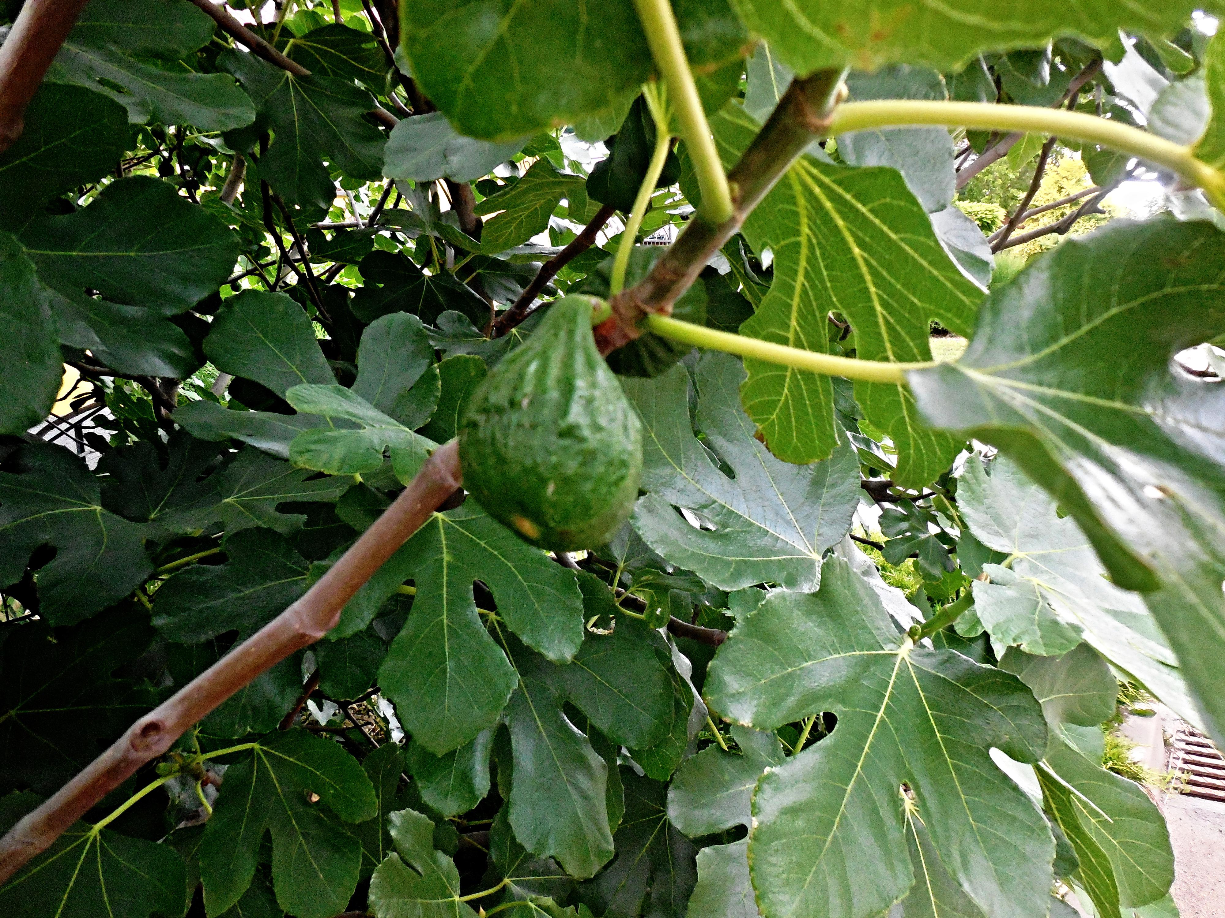 Wellness Hříbek Resort foto 5