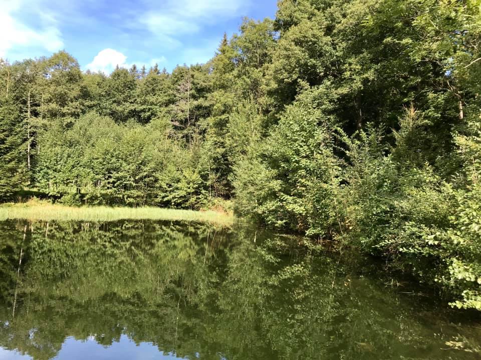 Královský dvůr na Bílém potoce foto 4