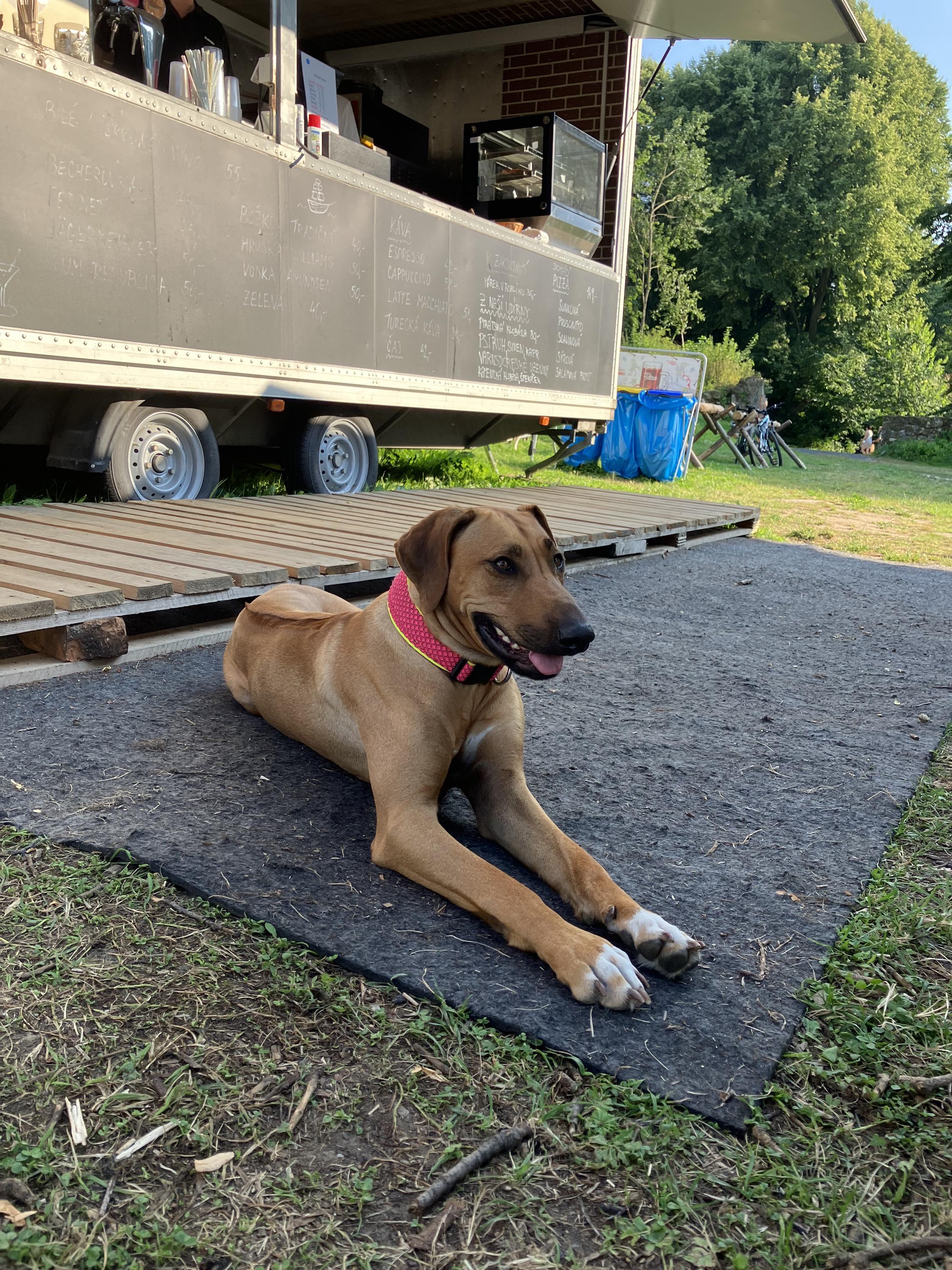 Občerstvení pod Lemberkem foto 4