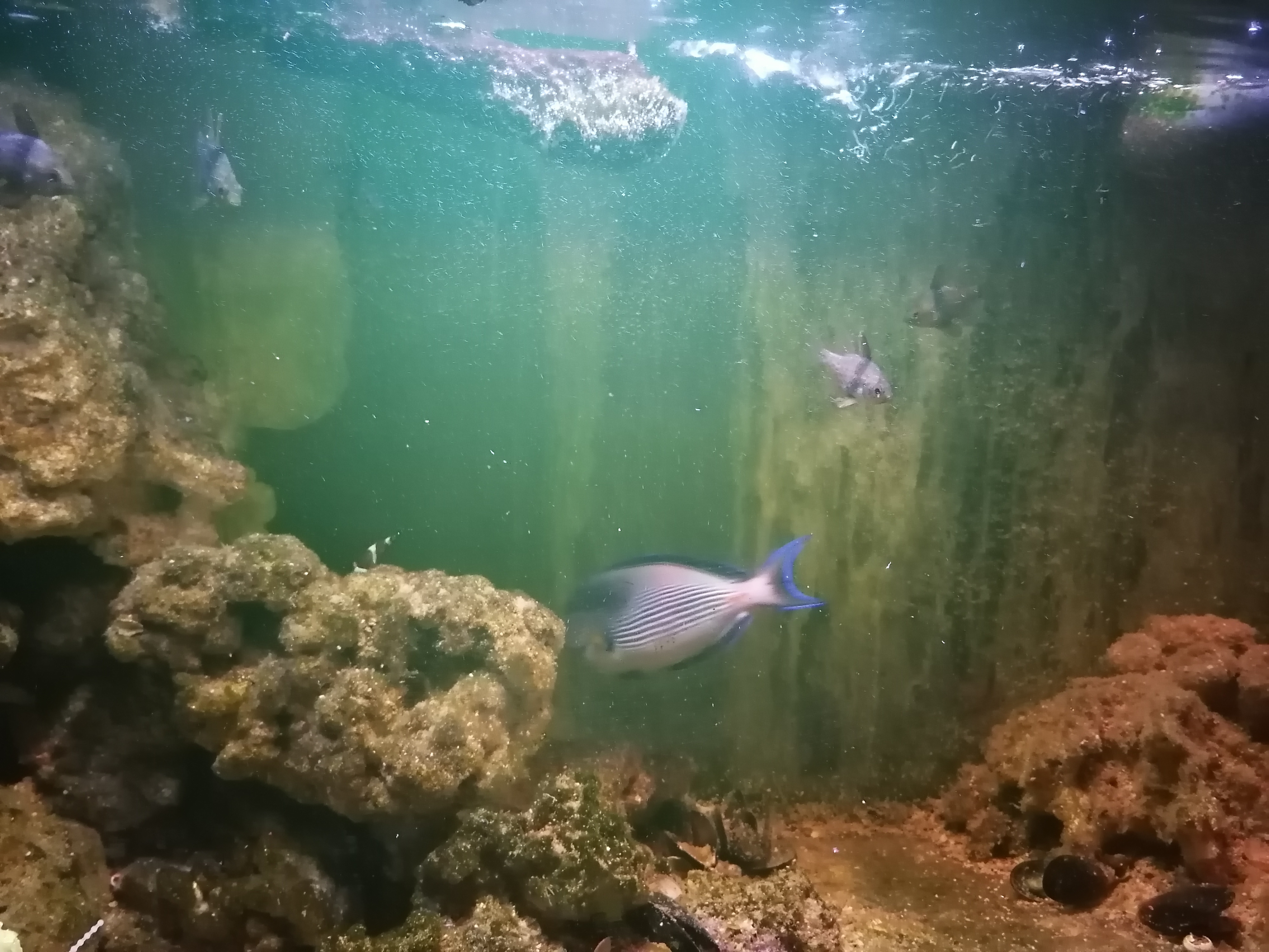 Penzion statek Široký Důl foto 6