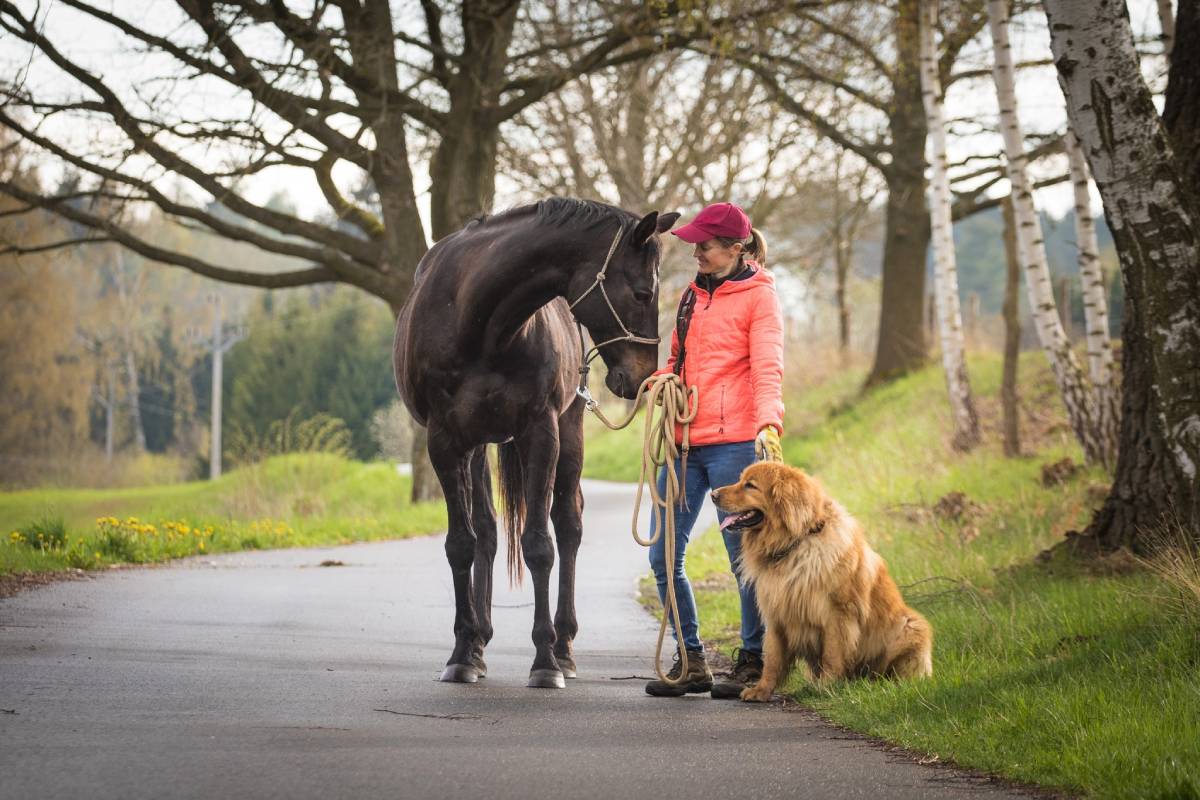 MVDr. Miroslava Sůvová