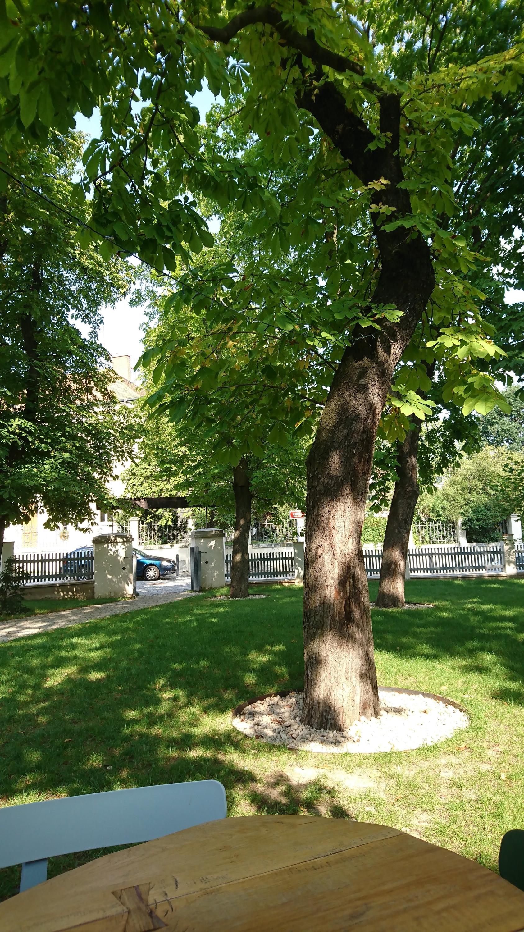 Restaurace U Matěje foto 5