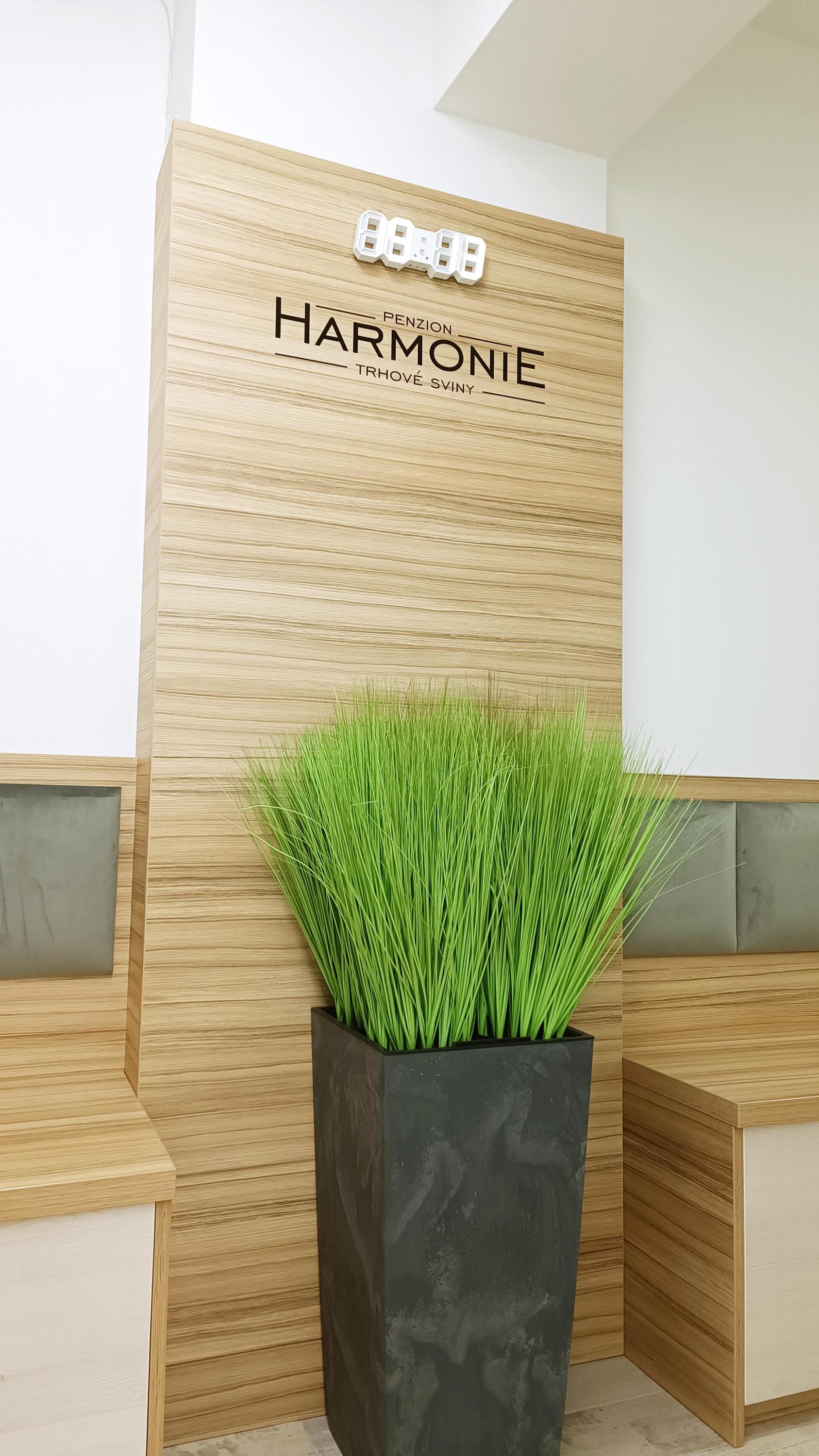 Penzion HARMONIE foto 4