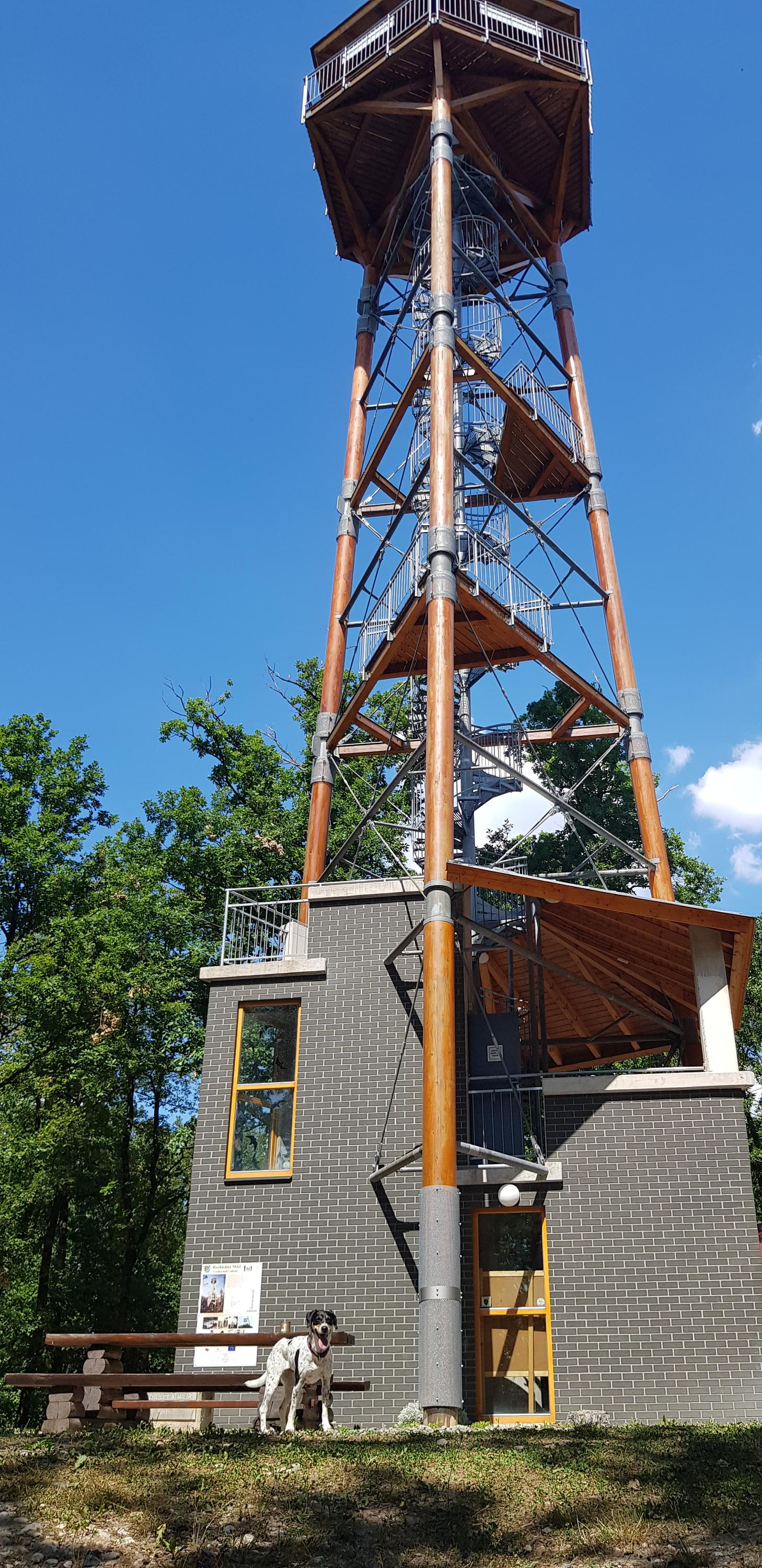 Občerstvení U Rozhledny foto 6