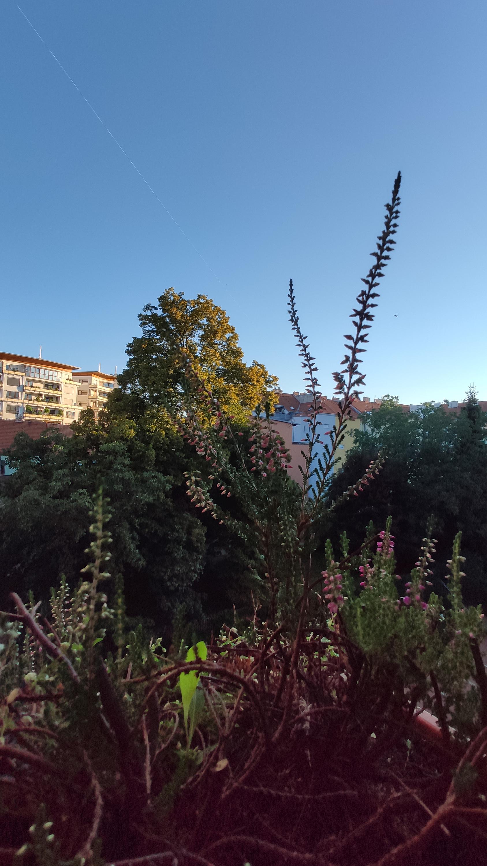 Ing. Petr Němec - PeN 42 foto 2