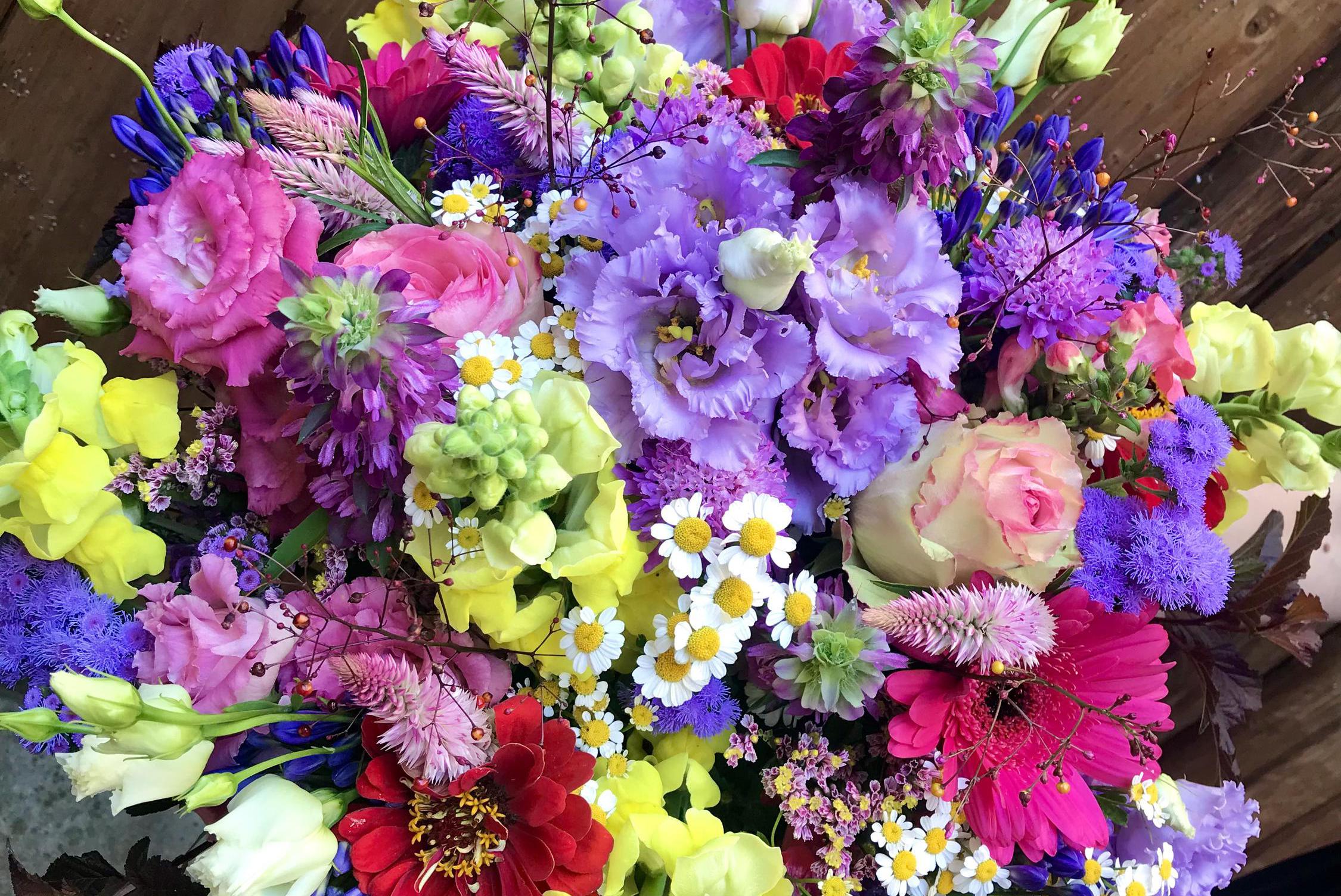 Květinová farma Daniela Žďárská