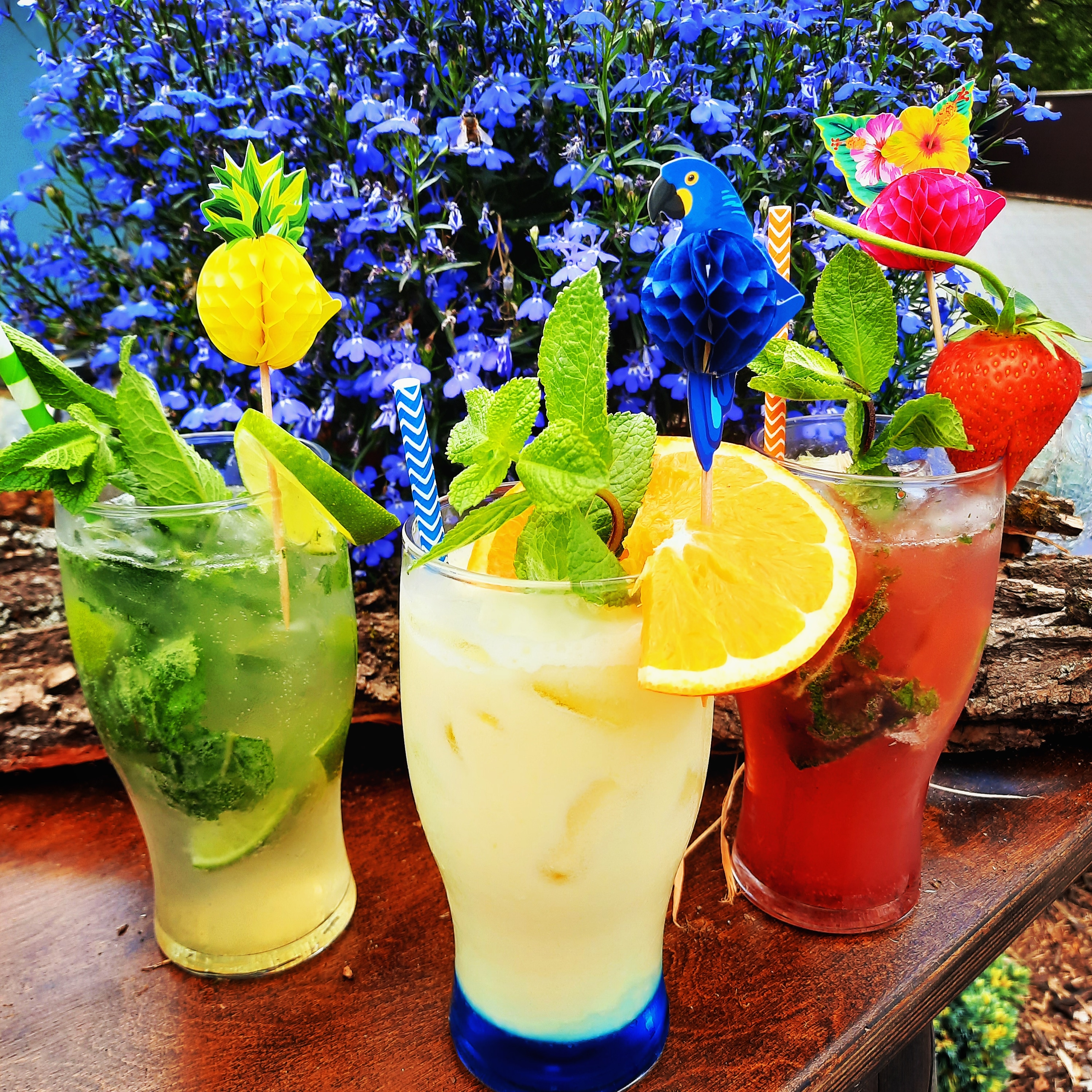 Restaurace u Kocoura Olivera foto 5