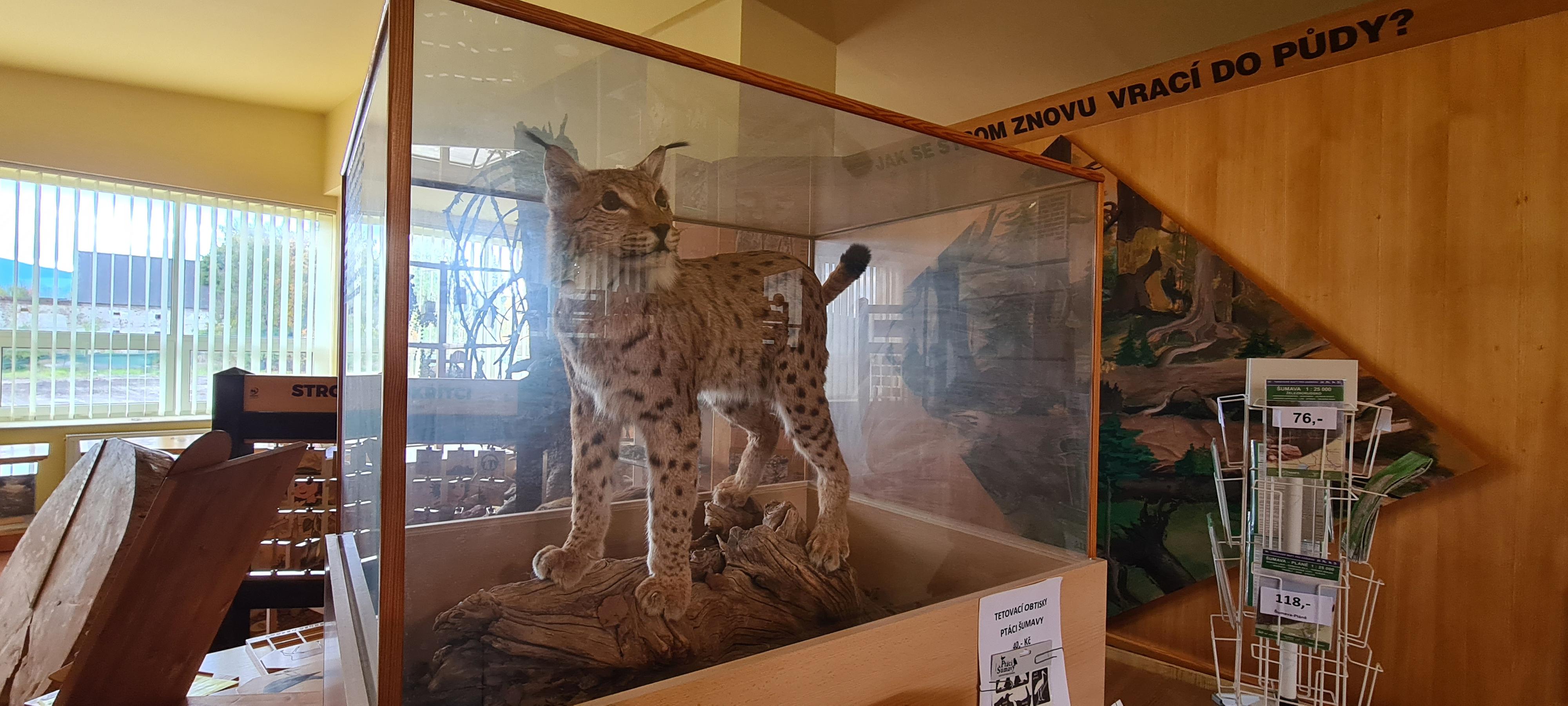 Informační středisko Kašperské Hory foto 5