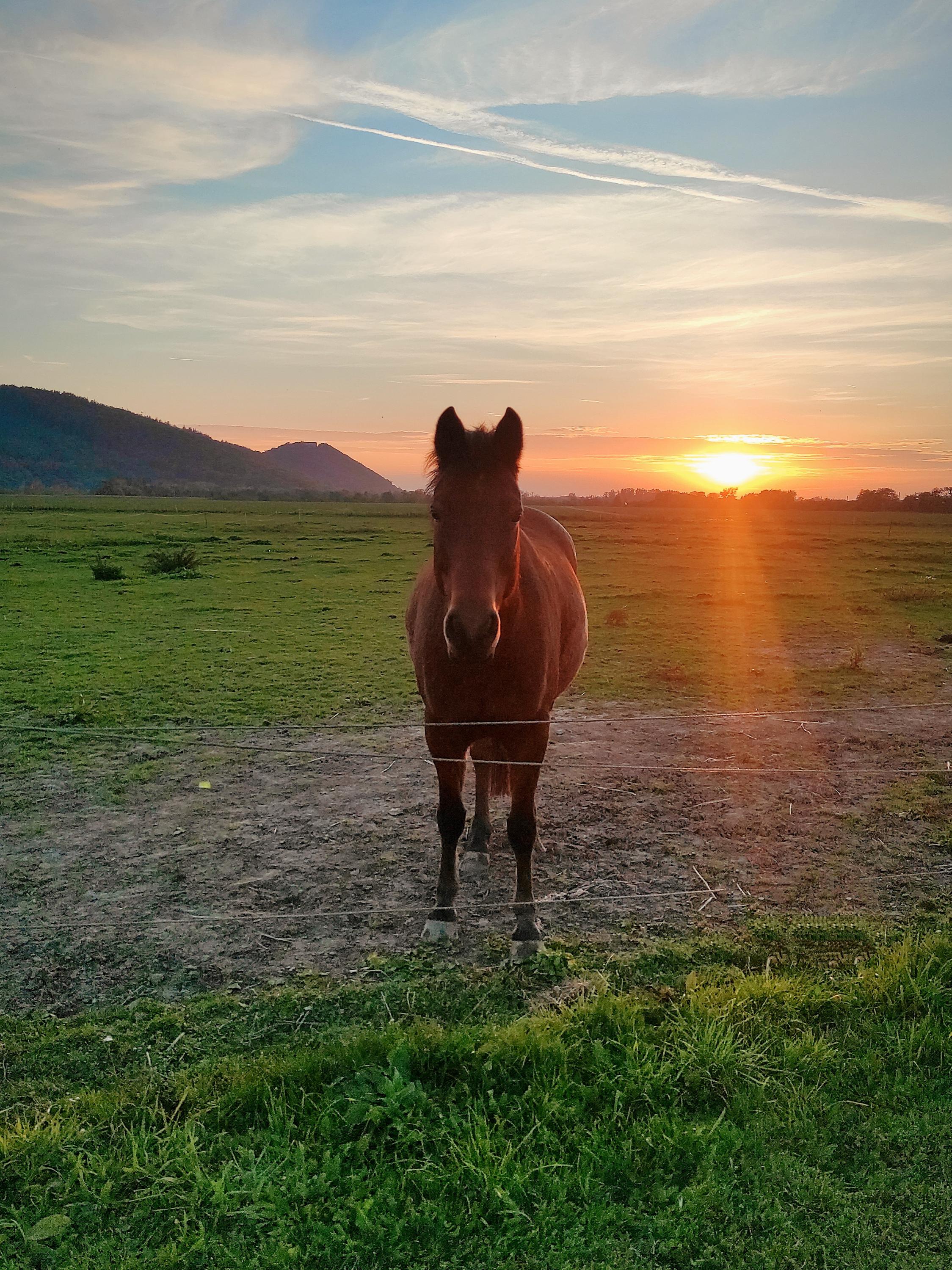 JK COUFALÍK foto 1