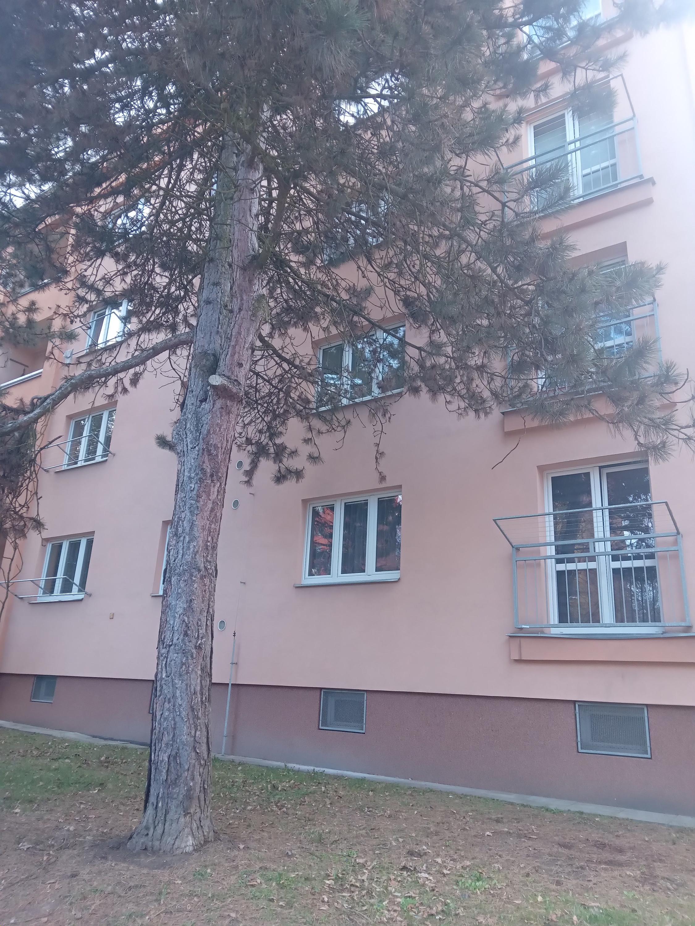 Dušan Mischinger - Elektro MAX foto 2
