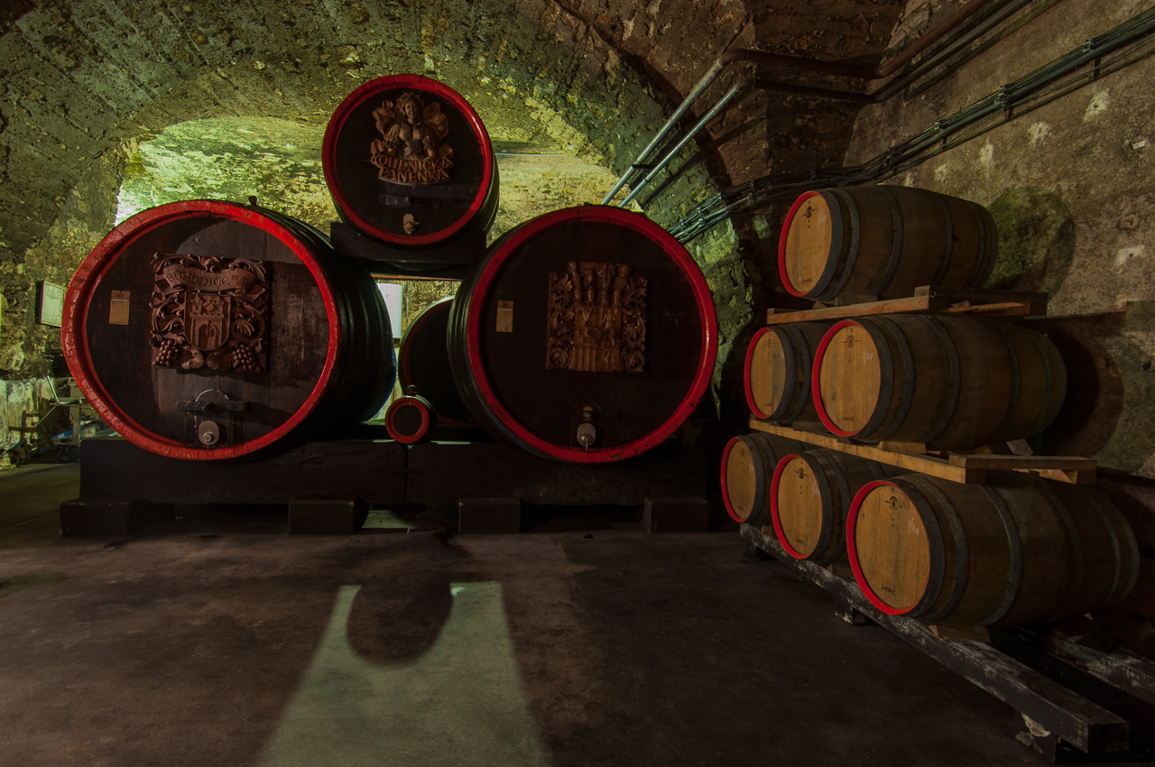 Vinařství Zámek Lobkowicz Roudnice foto 5