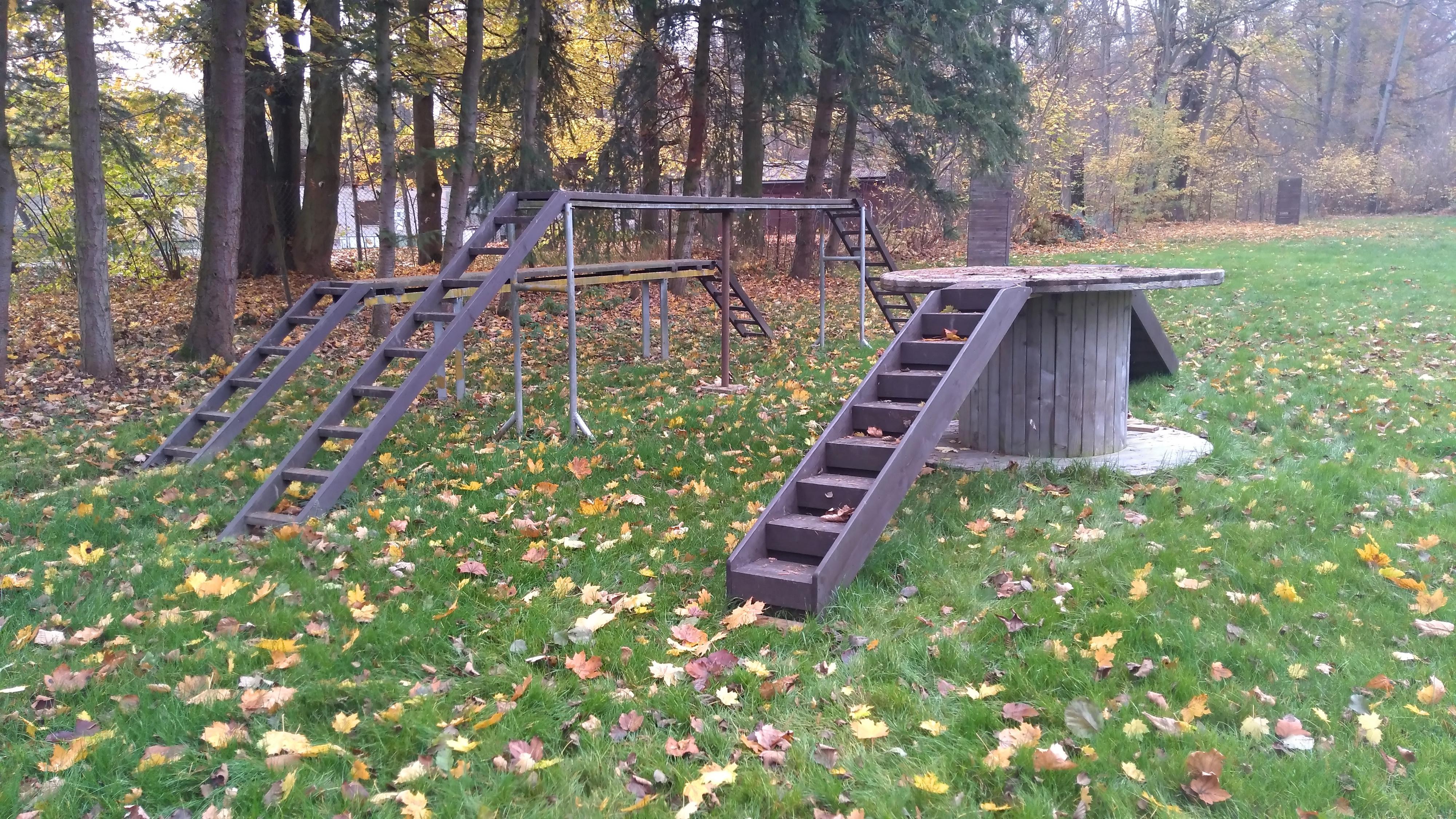 Český kynologický svaz ZKO Tachov - 033 foto 5