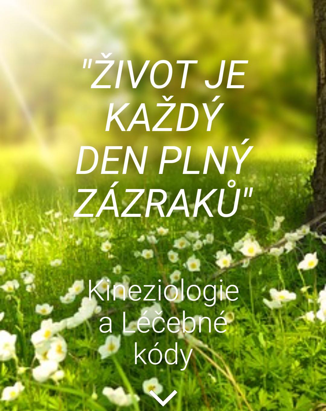Rodinné léčení Praha - Ivana Habersbergerová foto 5