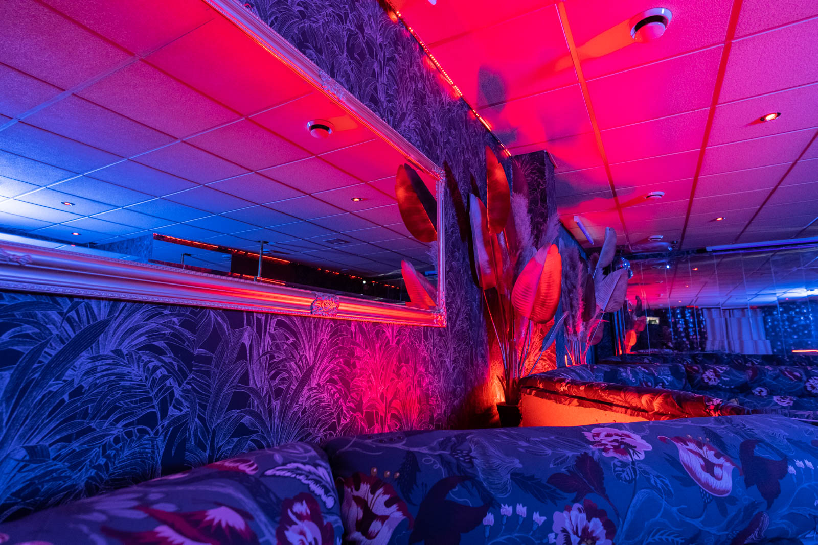 Night Club West foto 3
