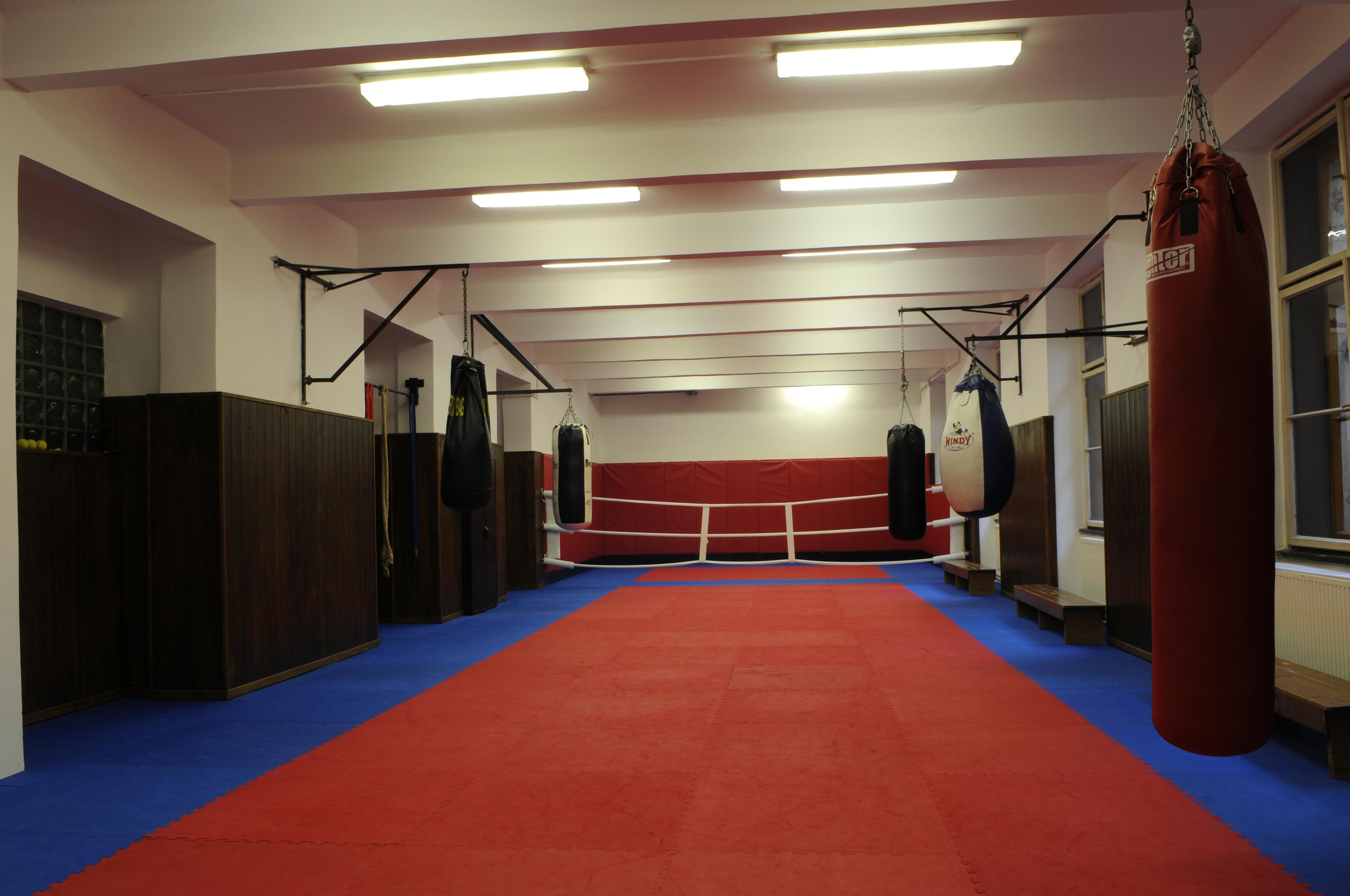 Choketopus Gym foto 3