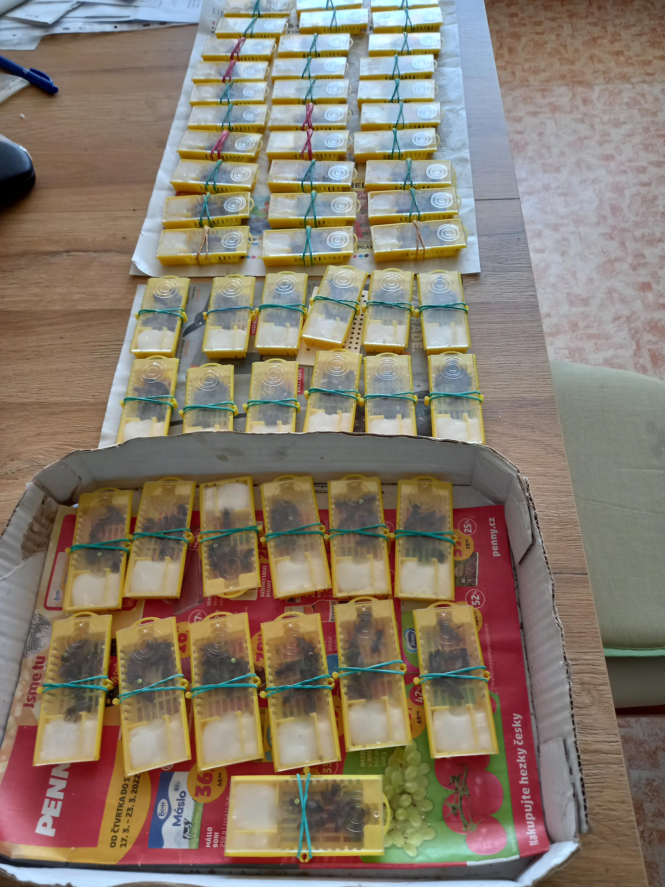 Lubomír Chramosta - včelí farma foto 3