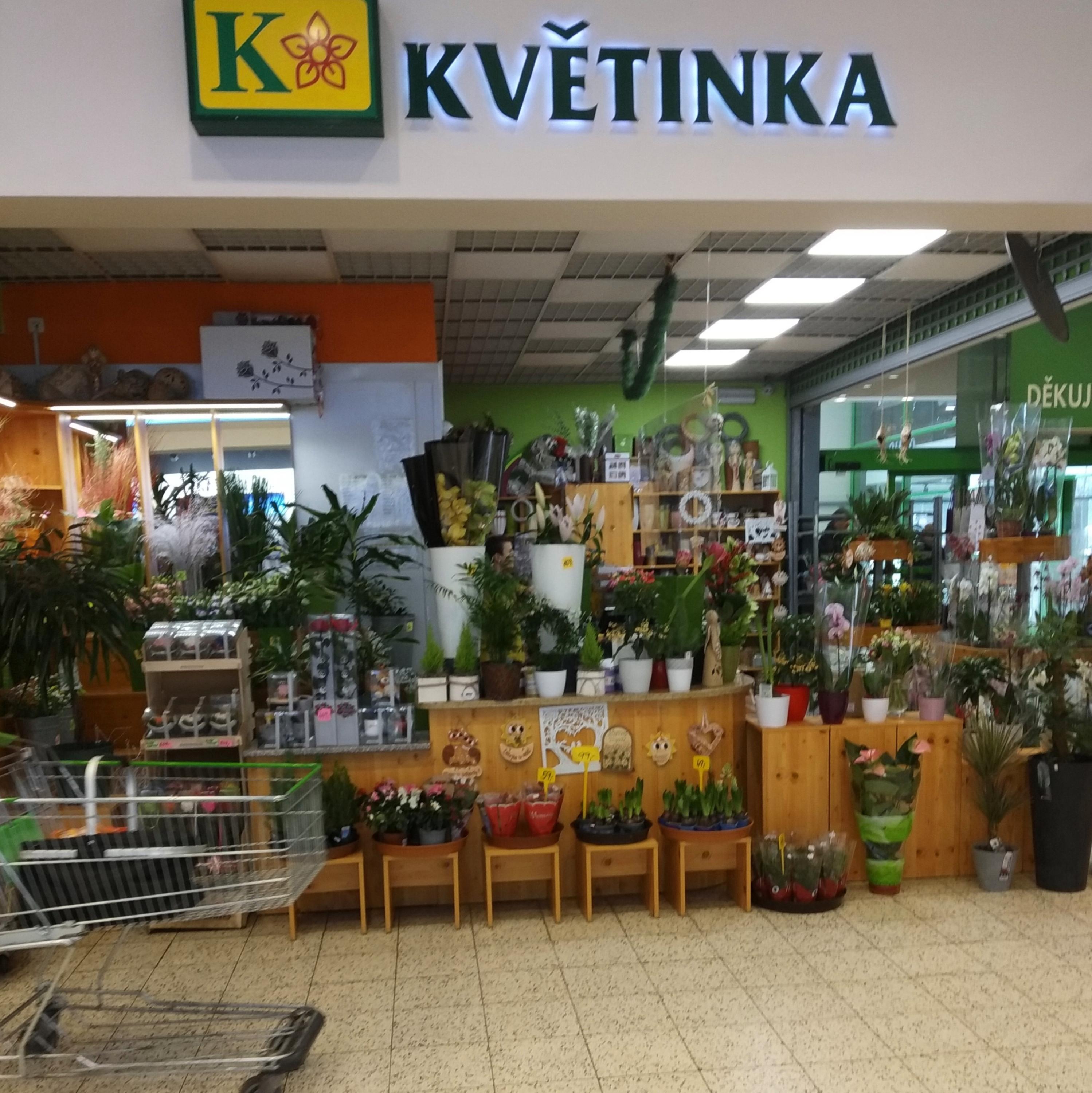 BL KVĚTINKA foto 3