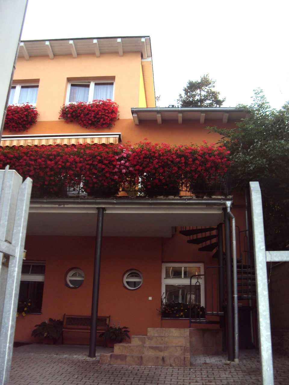 Dentální hygiena Pavlína Peterová foto 2