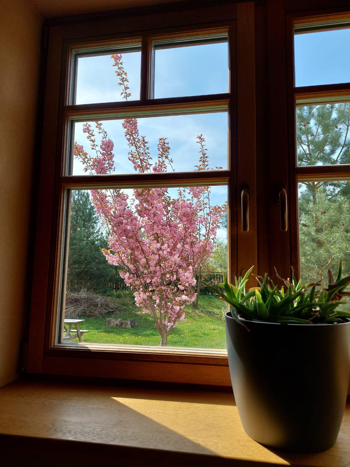 Avaloka - Dům Holistického Zdrávi foto 5