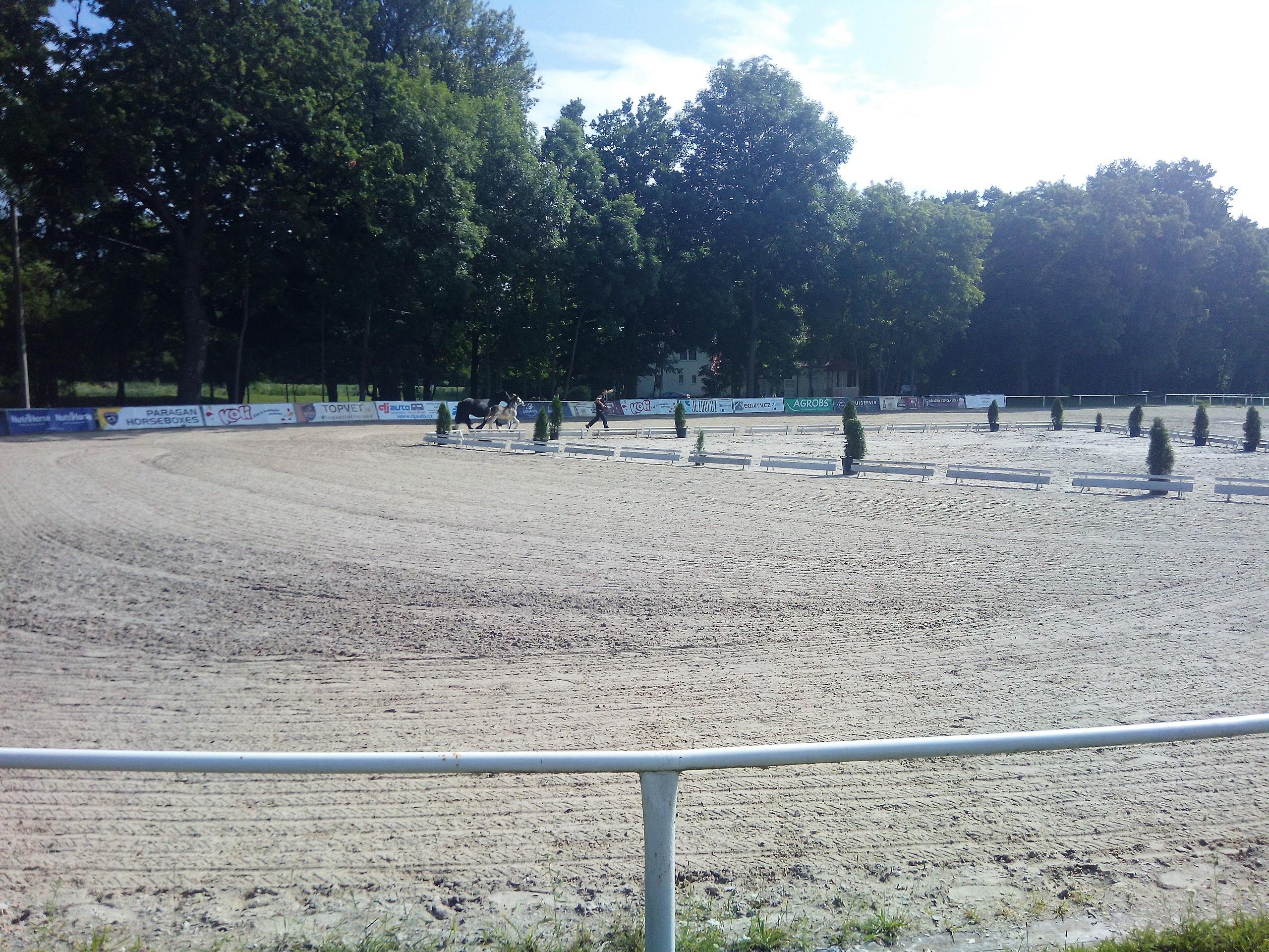 Jezdecká škola Equus Kinsky foto 6