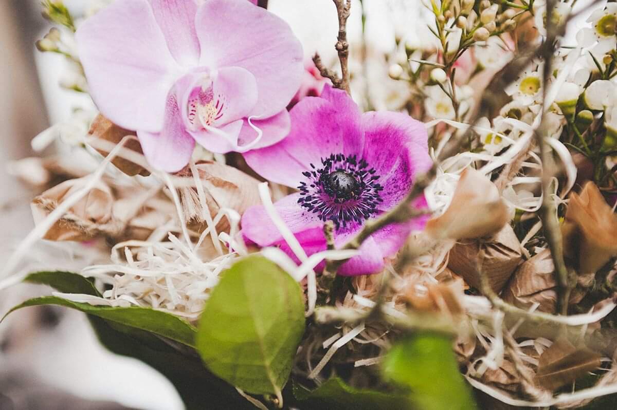 KVĚTINOVÁ SEZÓNA foto 3