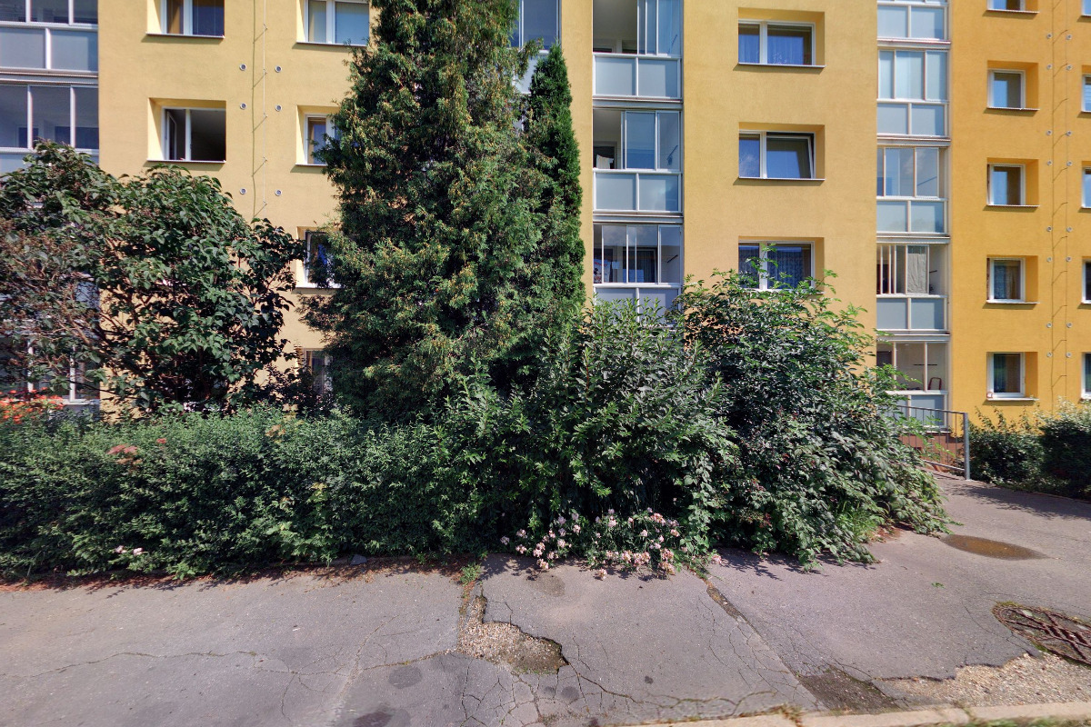 Úklidové služby Dahlia foto 2