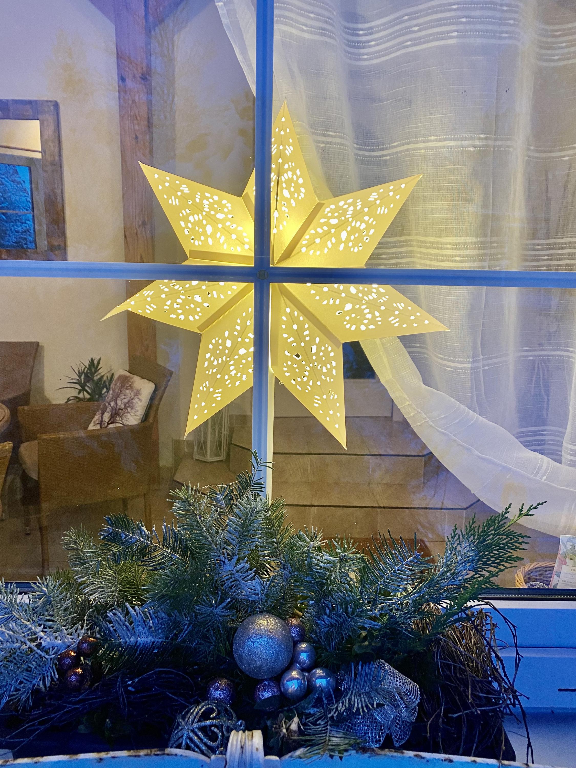 Vila EVIO apartmány Třeboň foto 5
